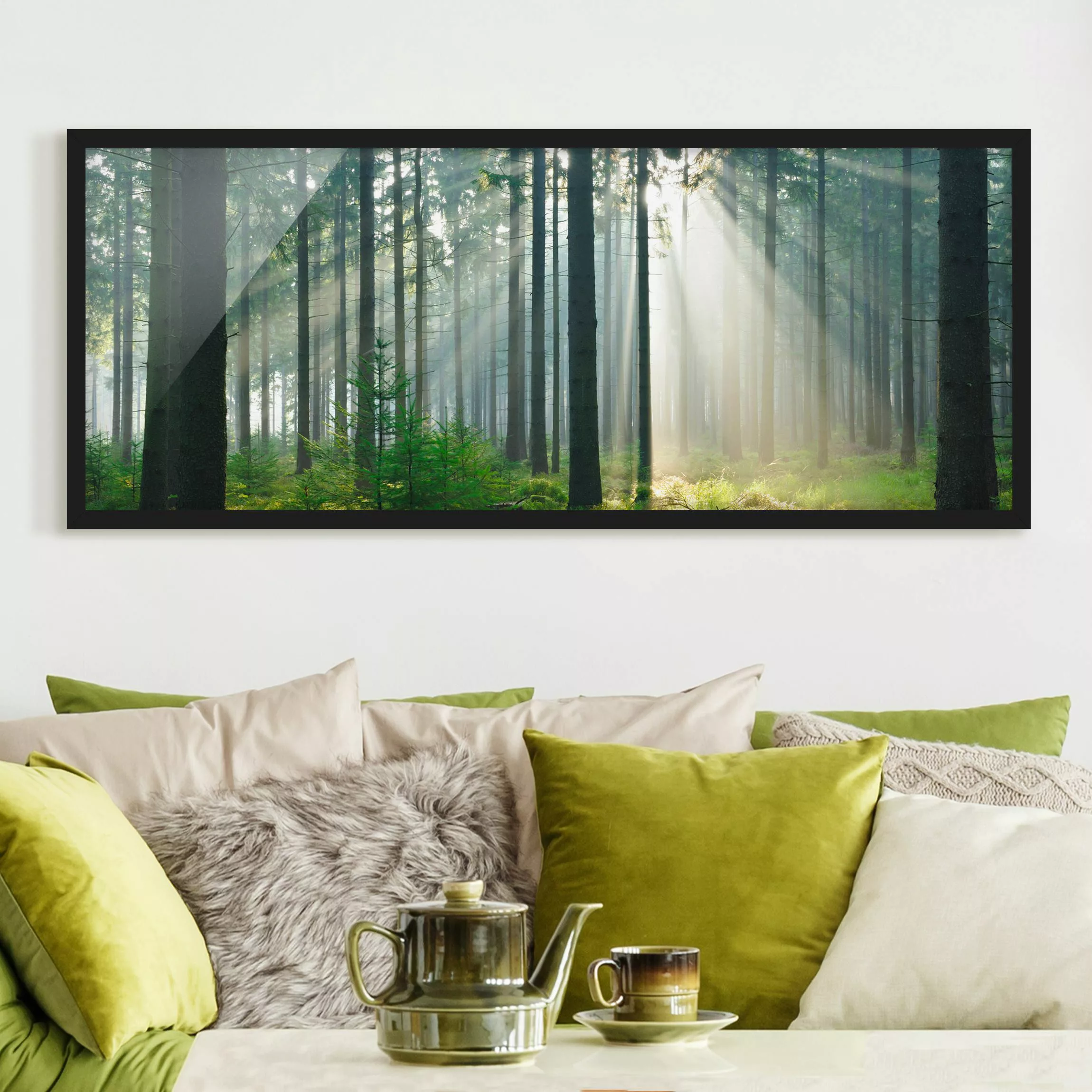 Bild mit Rahmen Natur & Landschaft - Panorama Enlightened Forest günstig online kaufen
