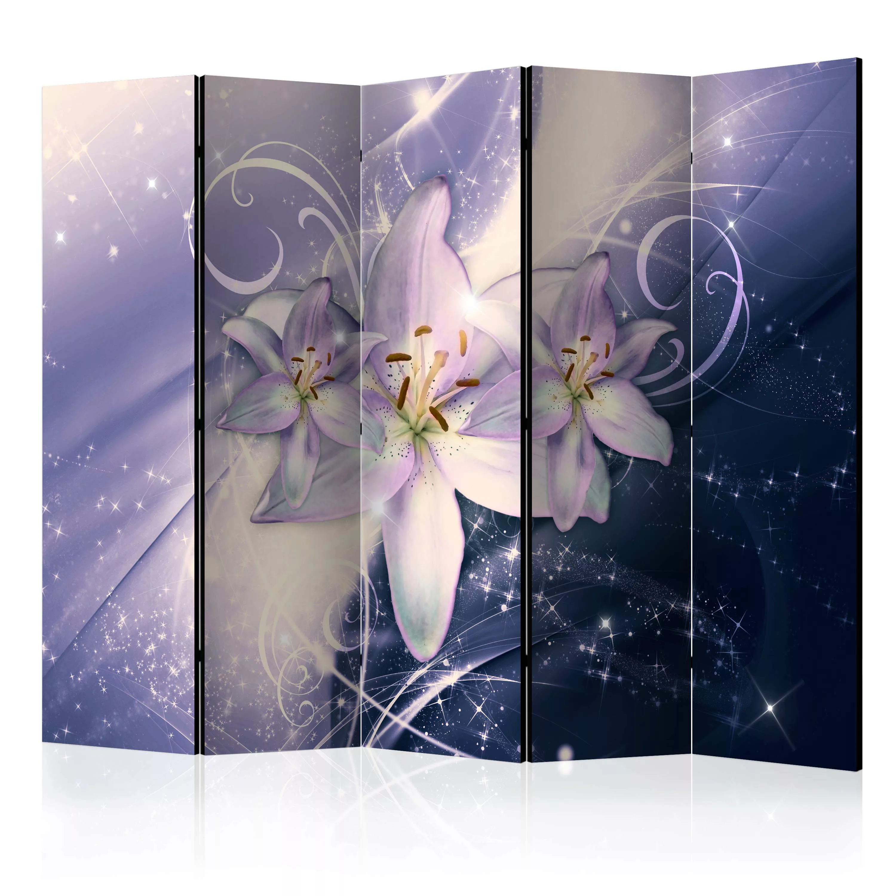 5-teiliges Paravent - Wintry Galaxy Ii [room Dividers] günstig online kaufen