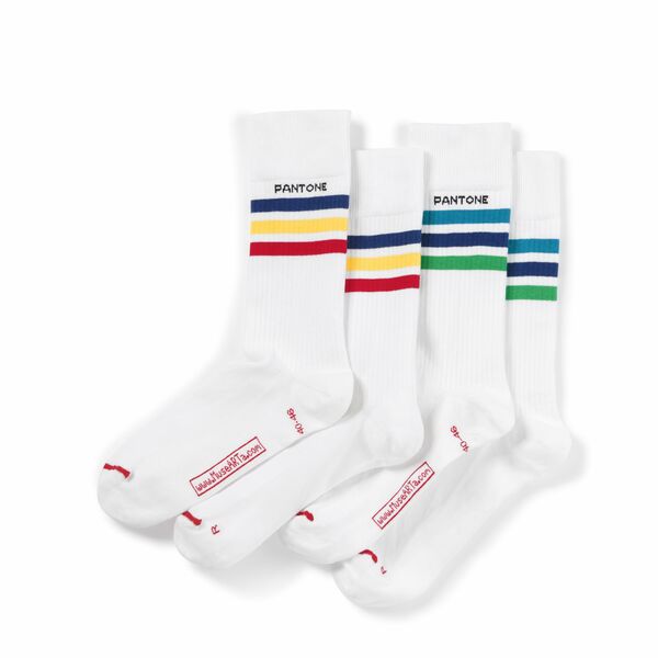 Bunte Socken, 2er Pack Bio Baumwolle günstig online kaufen