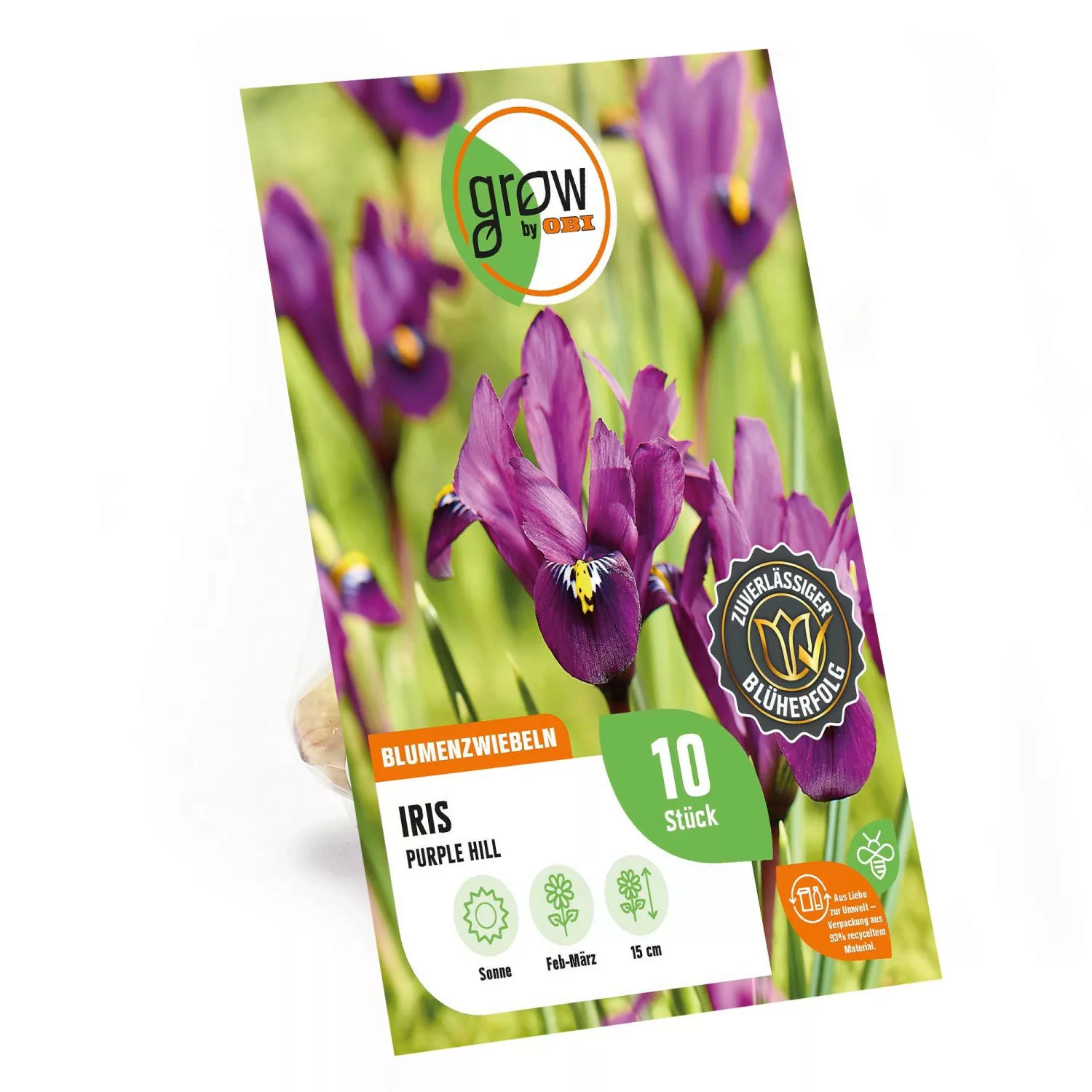 GROW by OBI Netz-Schwertlilie Purple Hill Purpur 15 cm Iris reticulata günstig online kaufen