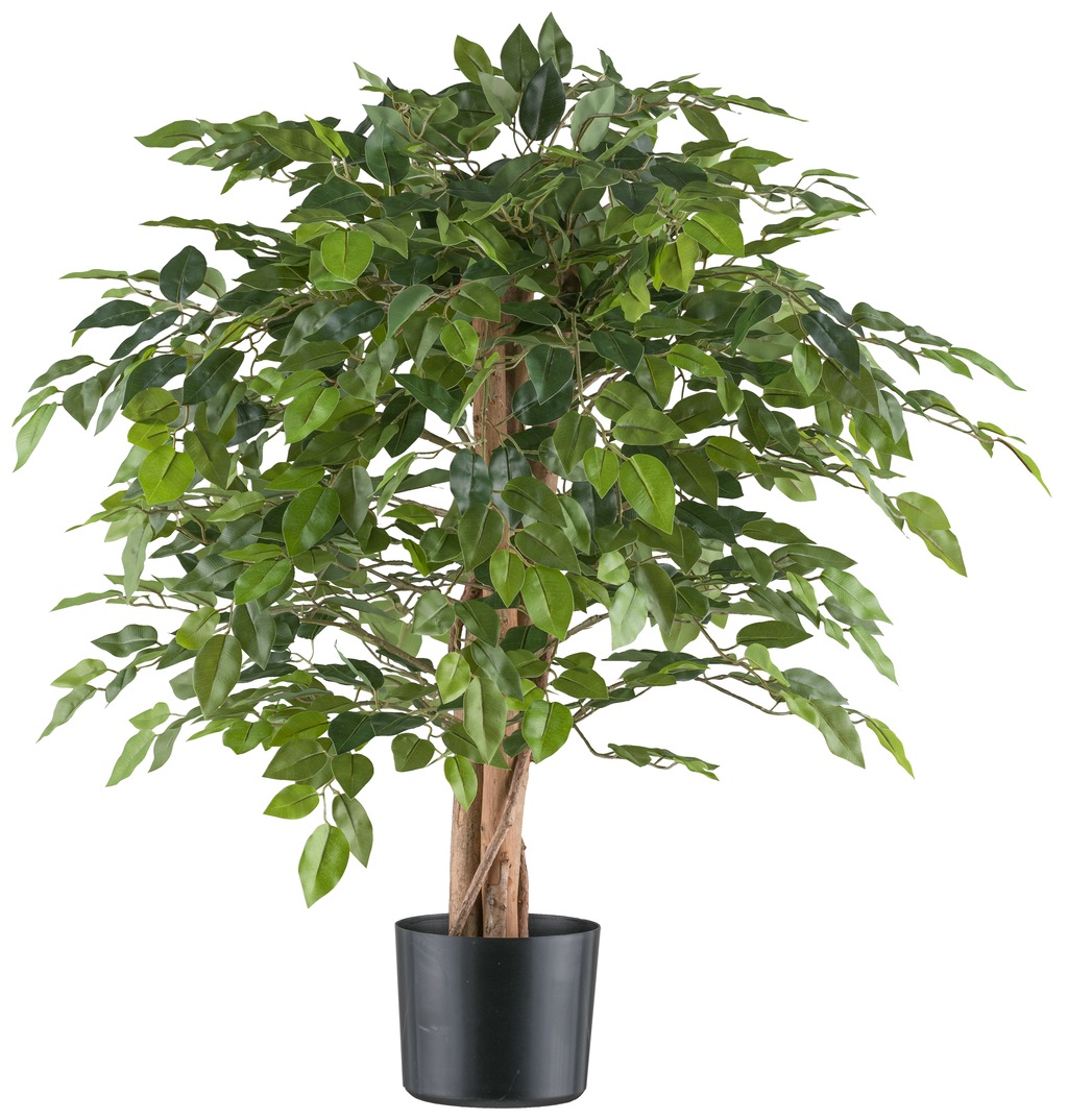 Creativ green Kunstpflanze "Ficus benjamina", mit Naturstamm günstig online kaufen