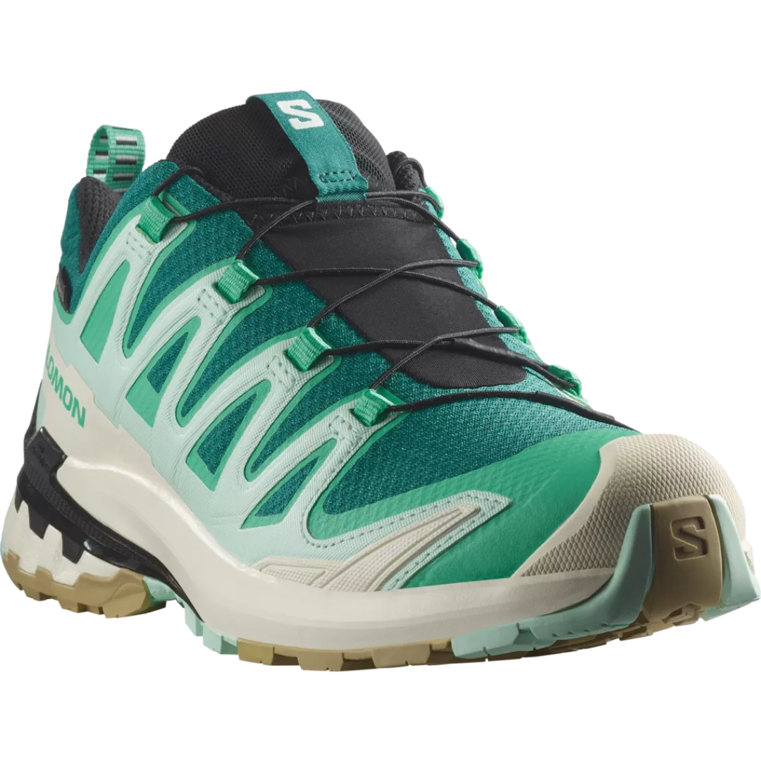 Salomon Laufschuh "XA PRO 3D V9 GORE-TEX", wasserdicht günstig online kaufen