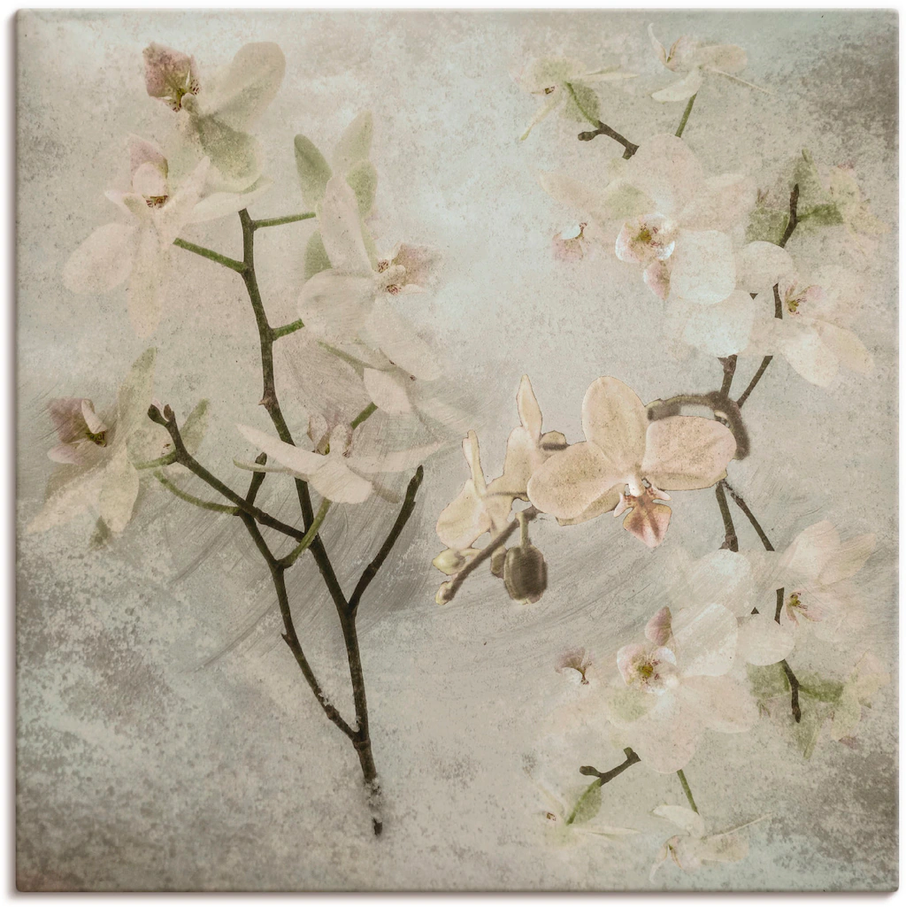 Artland Wandbild "Orchideen", Blumen, (1 St.), als Leinwandbild, Poster, Wa günstig online kaufen