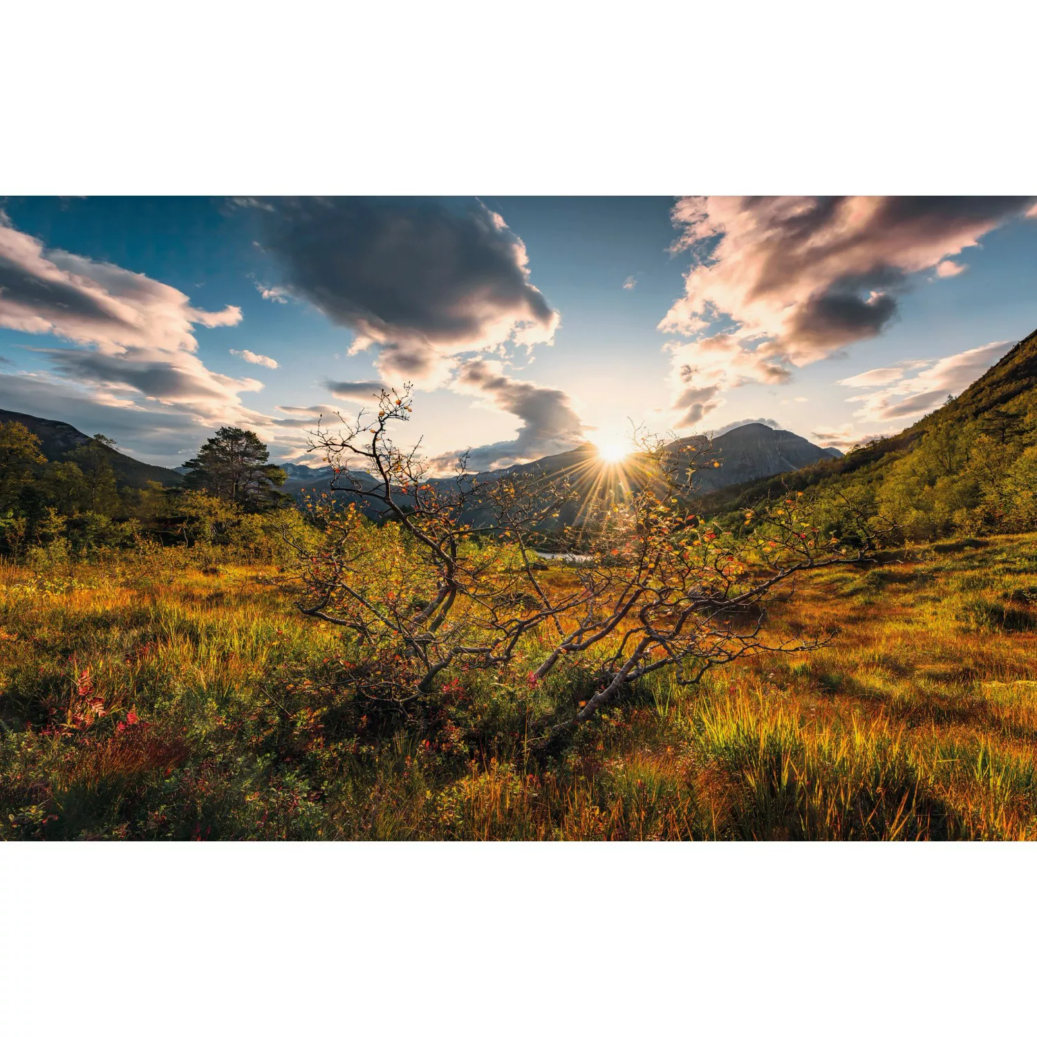 KOMAR Vlies Fototapete - Norwegische Herbstwelten - Größe 450 x 280 cm mehr günstig online kaufen