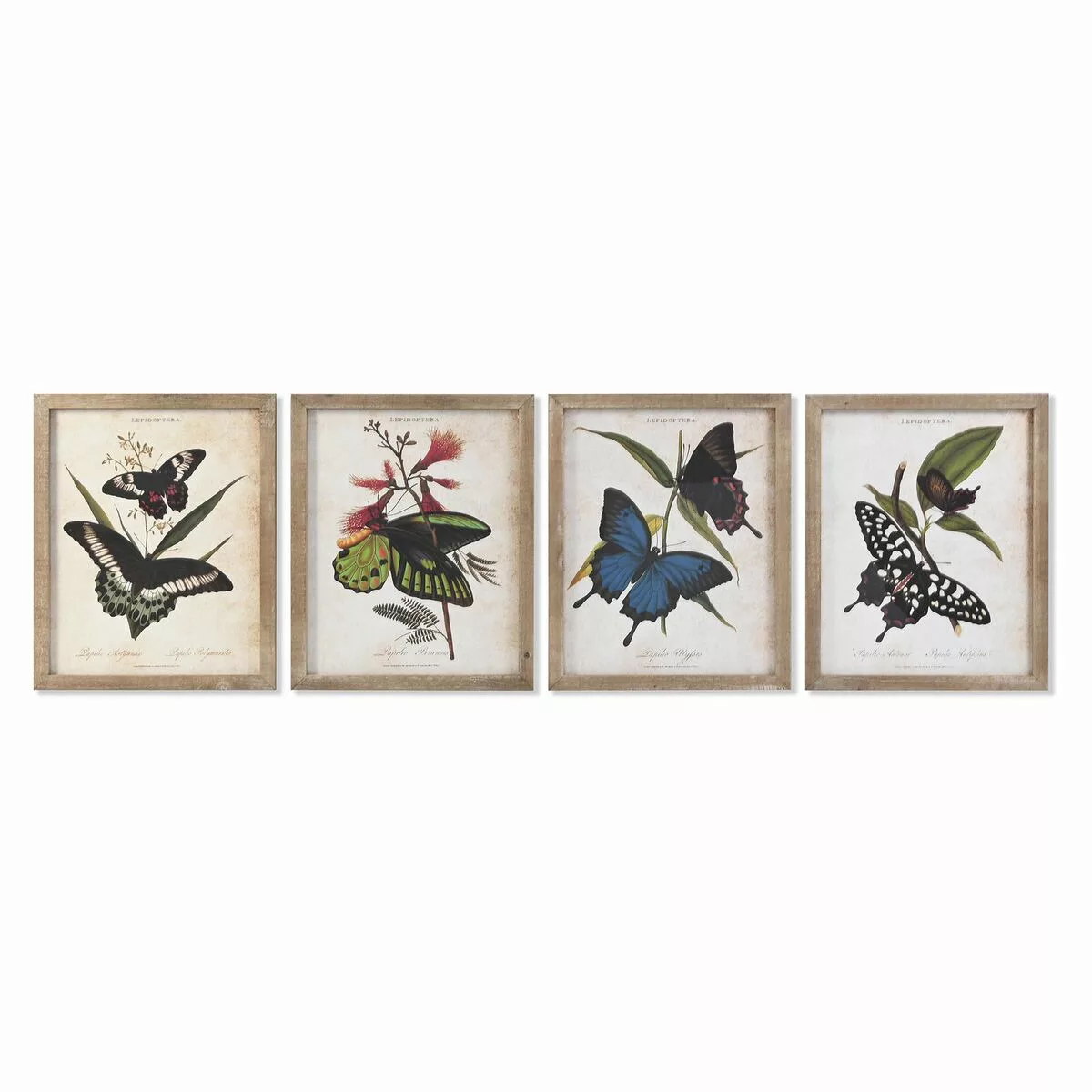 Bild Dkd Home Decor Schmetterlinge (40 X 2 X 50 Cm) (4 Stück) günstig online kaufen