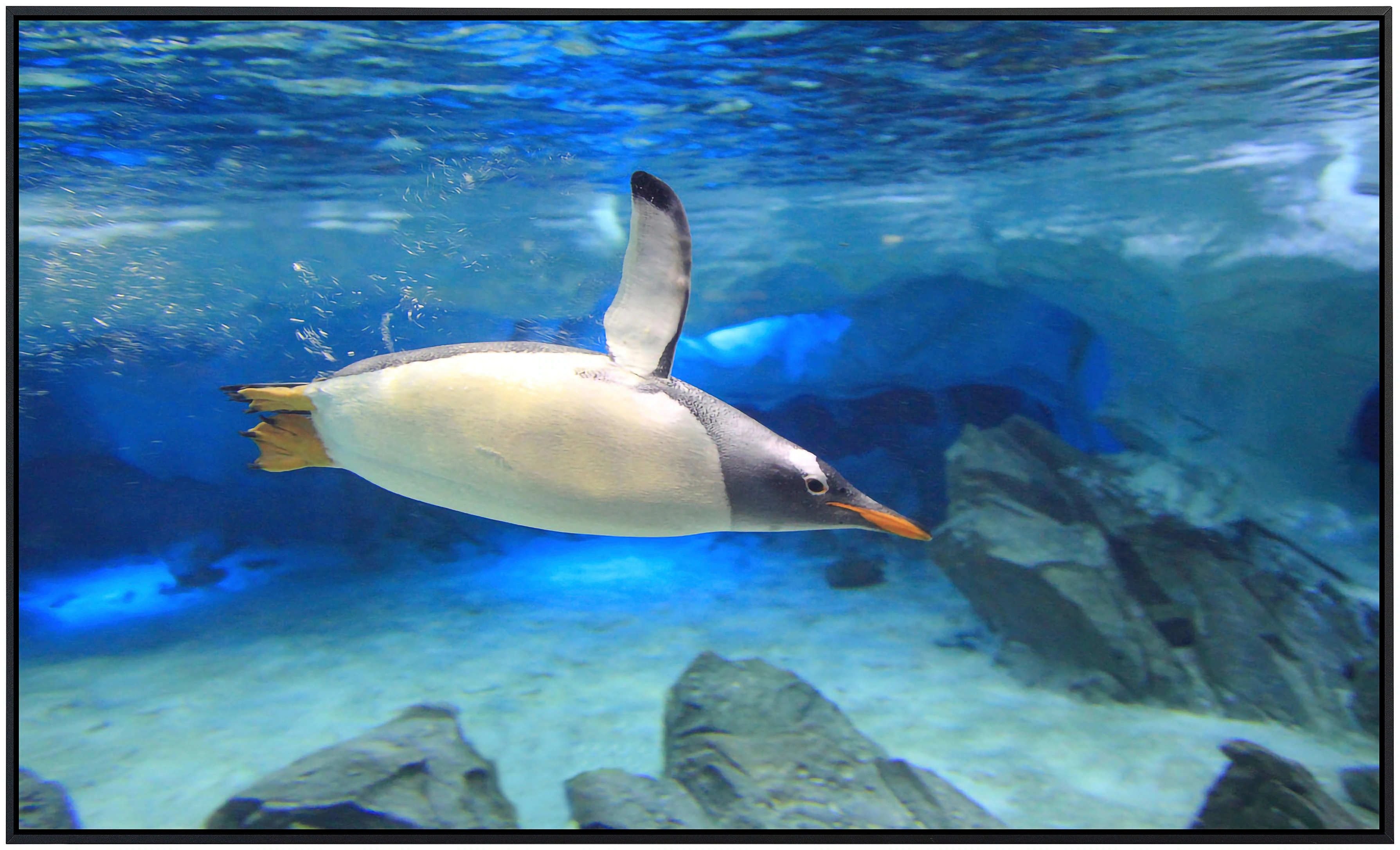 Papermoon Infrarotheizung »Unterwasser Eselspinguin«, sehr angenehme Strahl günstig online kaufen