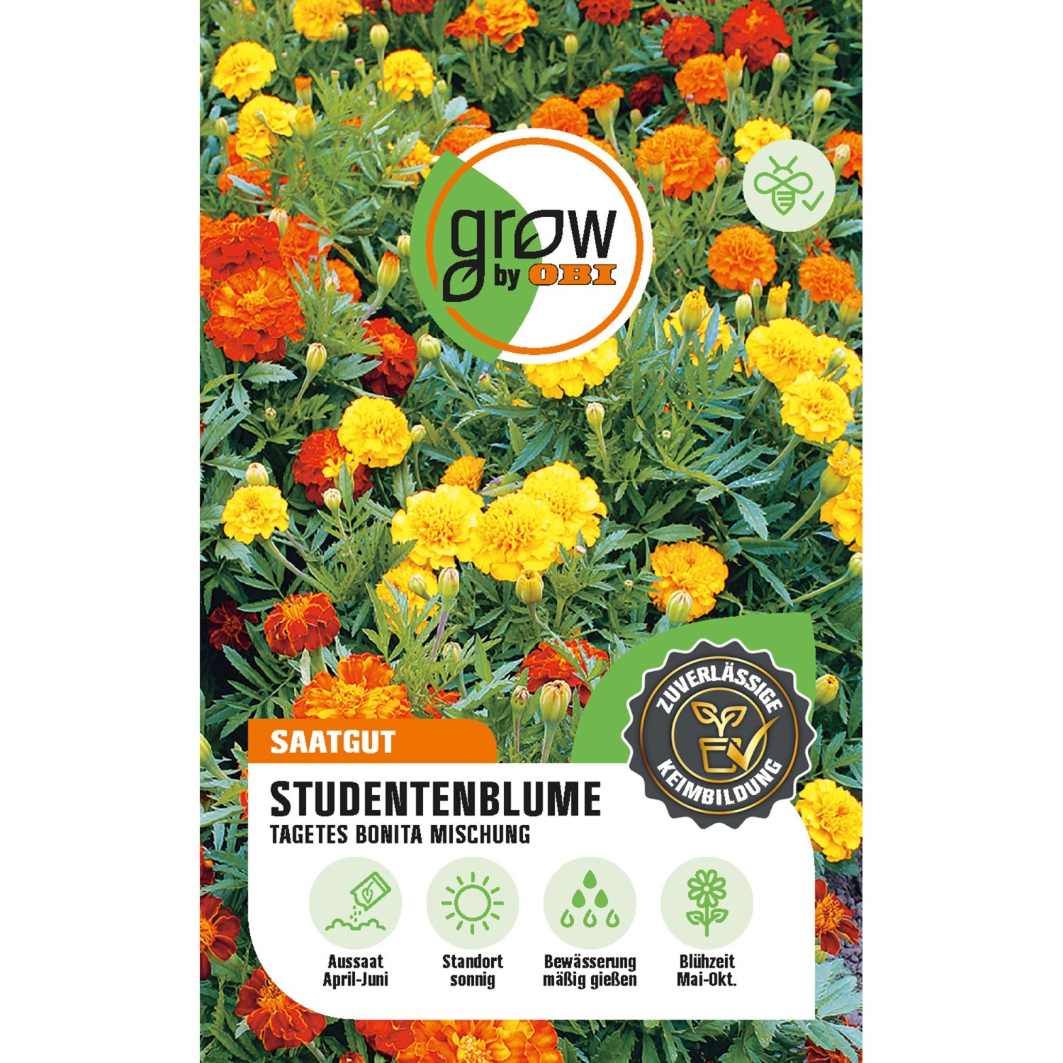 GROW by OBI Tagetes Bonita Mehrfarbig Höhe ca. 30 cm günstig online kaufen