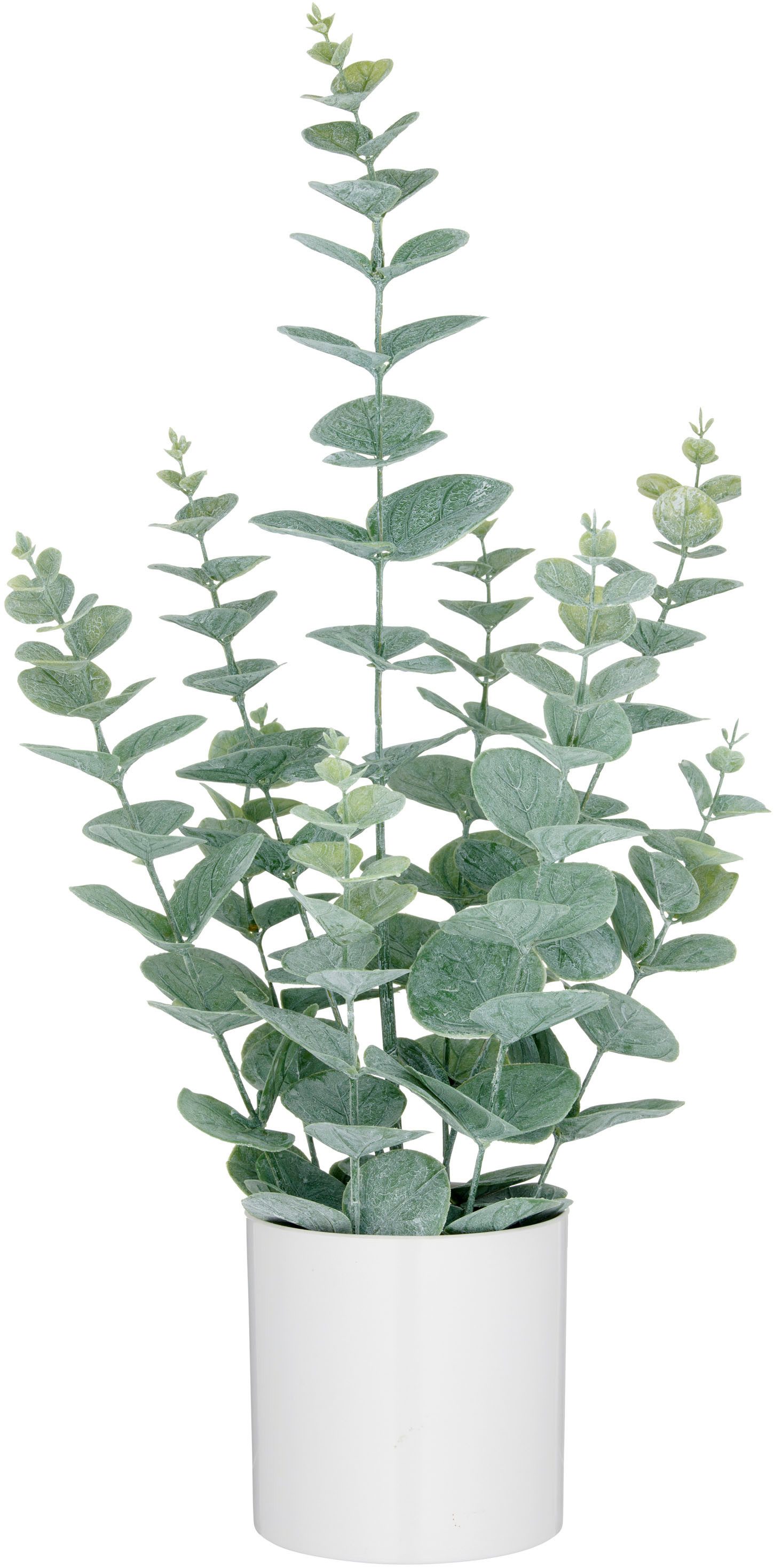 Creativ green Kunstpflanze "Eukalyptus", mit üppigem Blattwerk günstig online kaufen