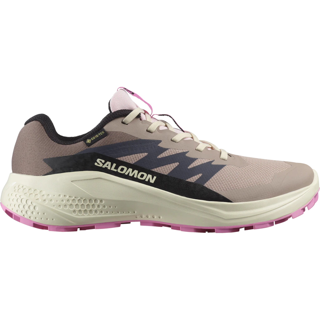 Salomon Laufschuh "ALPHAGLIDE GORE-TEX W", wasserdicht günstig online kaufen