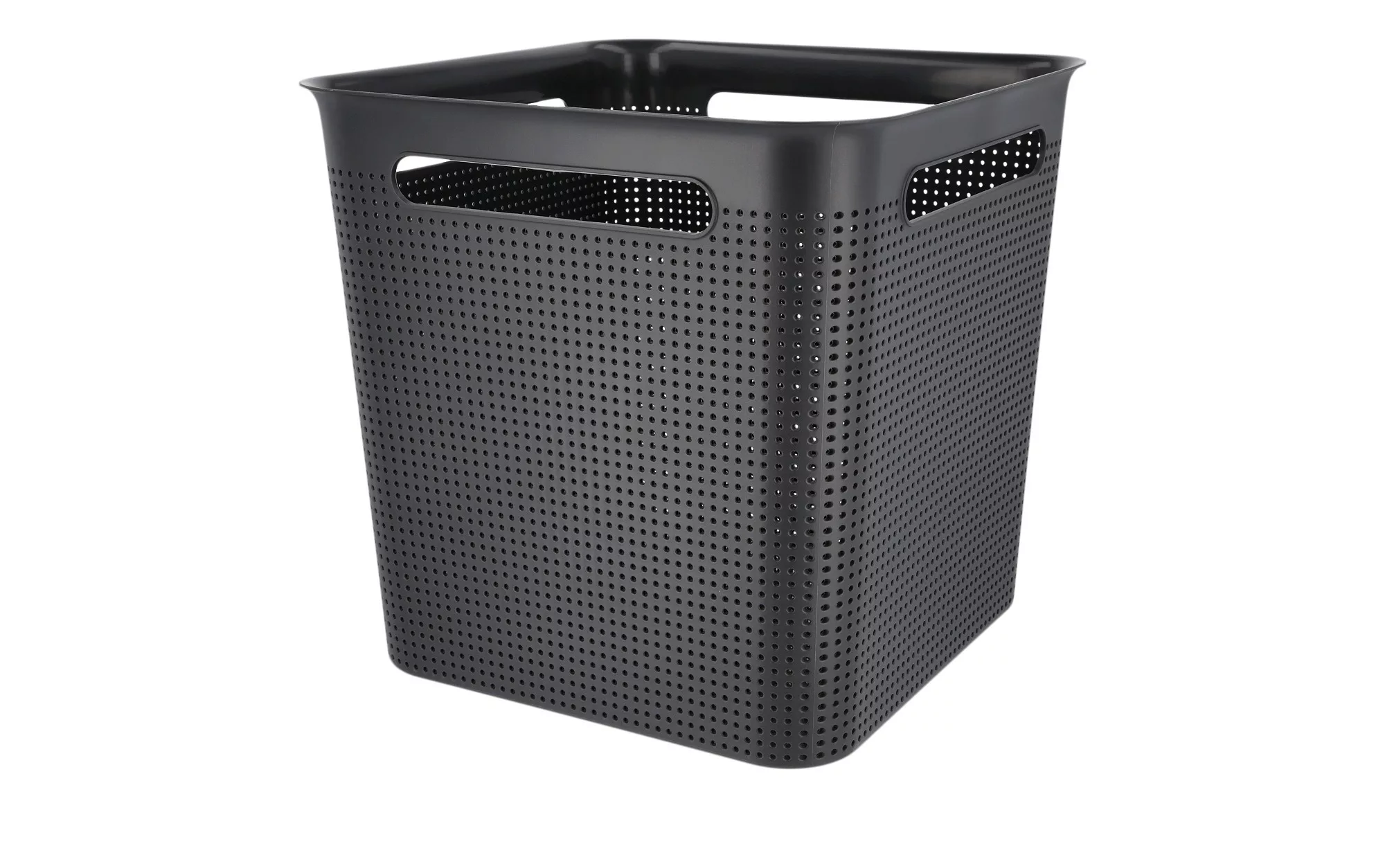 Rotho Aufbewahrungsbox - schwarz - Kunststoff - 29 cm - 28 cm - 29 cm - Auf günstig online kaufen
