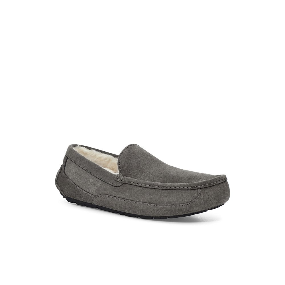 Ugg Ascot Hausschuhe EU 41 Grey günstig online kaufen