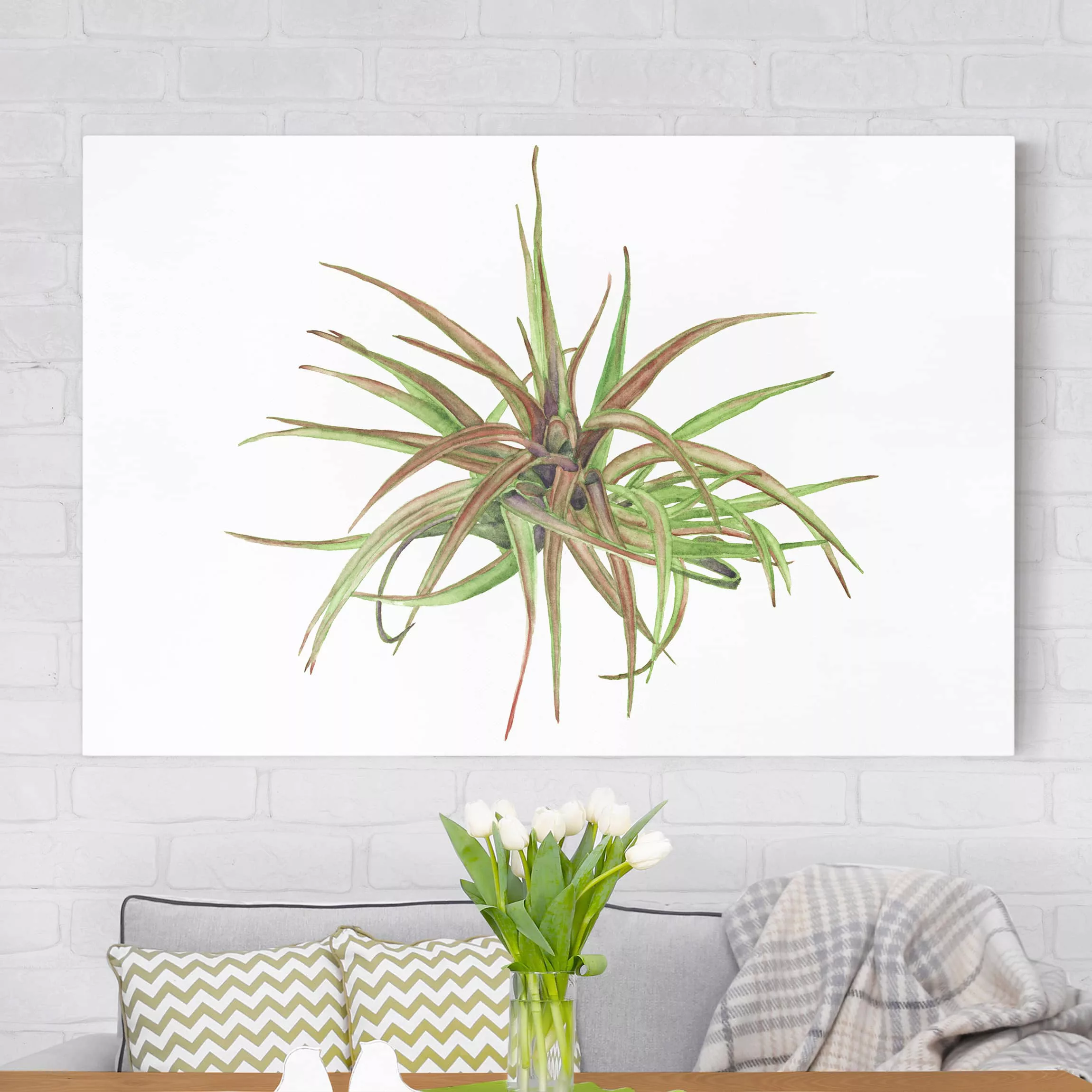 Leinwandbild Botanik - Querformat Luftpflanze Aquarell II günstig online kaufen