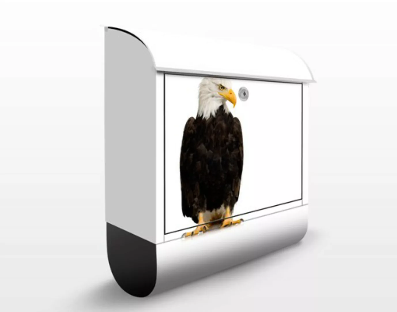 Briefkasten Tiere No.379 Eye of the Eagle günstig online kaufen
