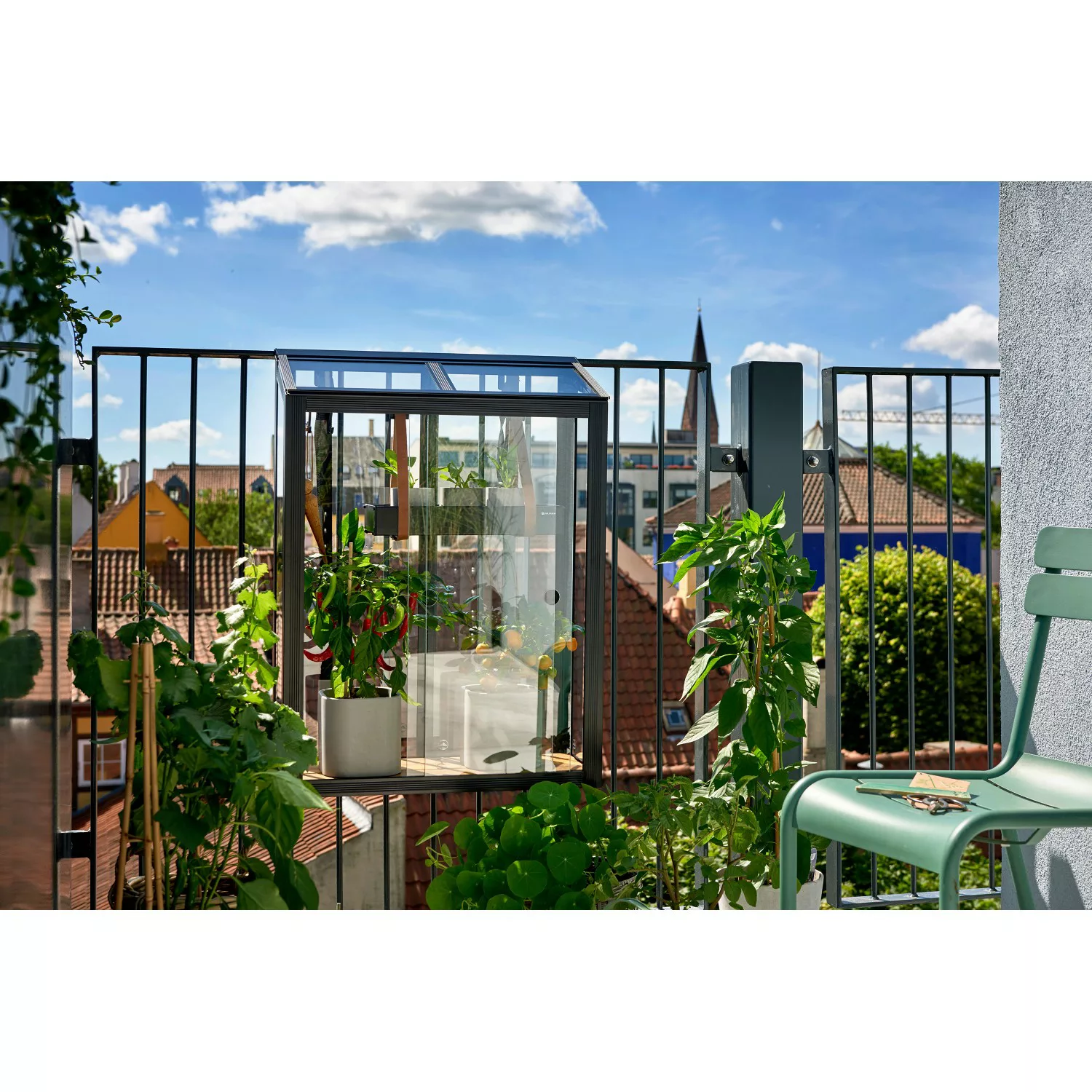 Juliana Gewächshaus Urban Balcony günstig online kaufen