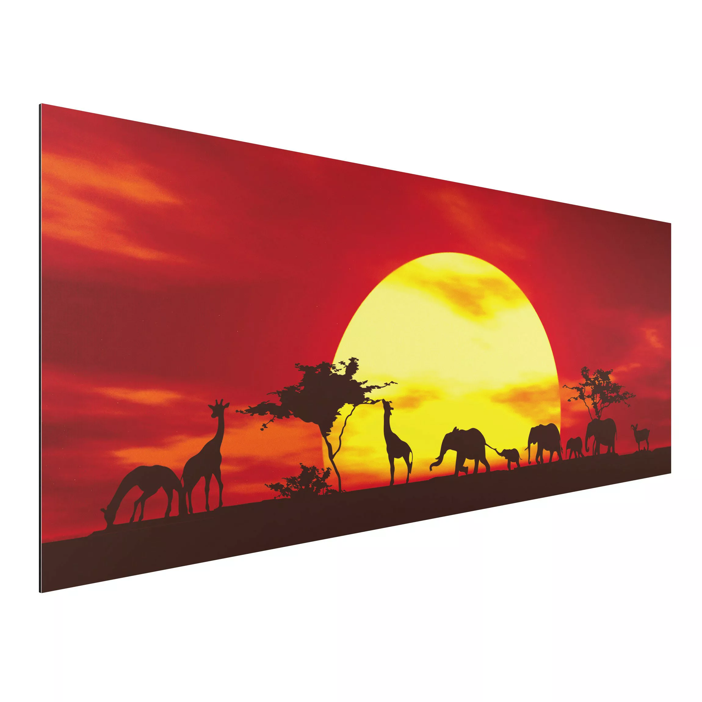 Alu-Dibond Bild Natur & Landschaft - Panorama Sunset Caravan günstig online kaufen