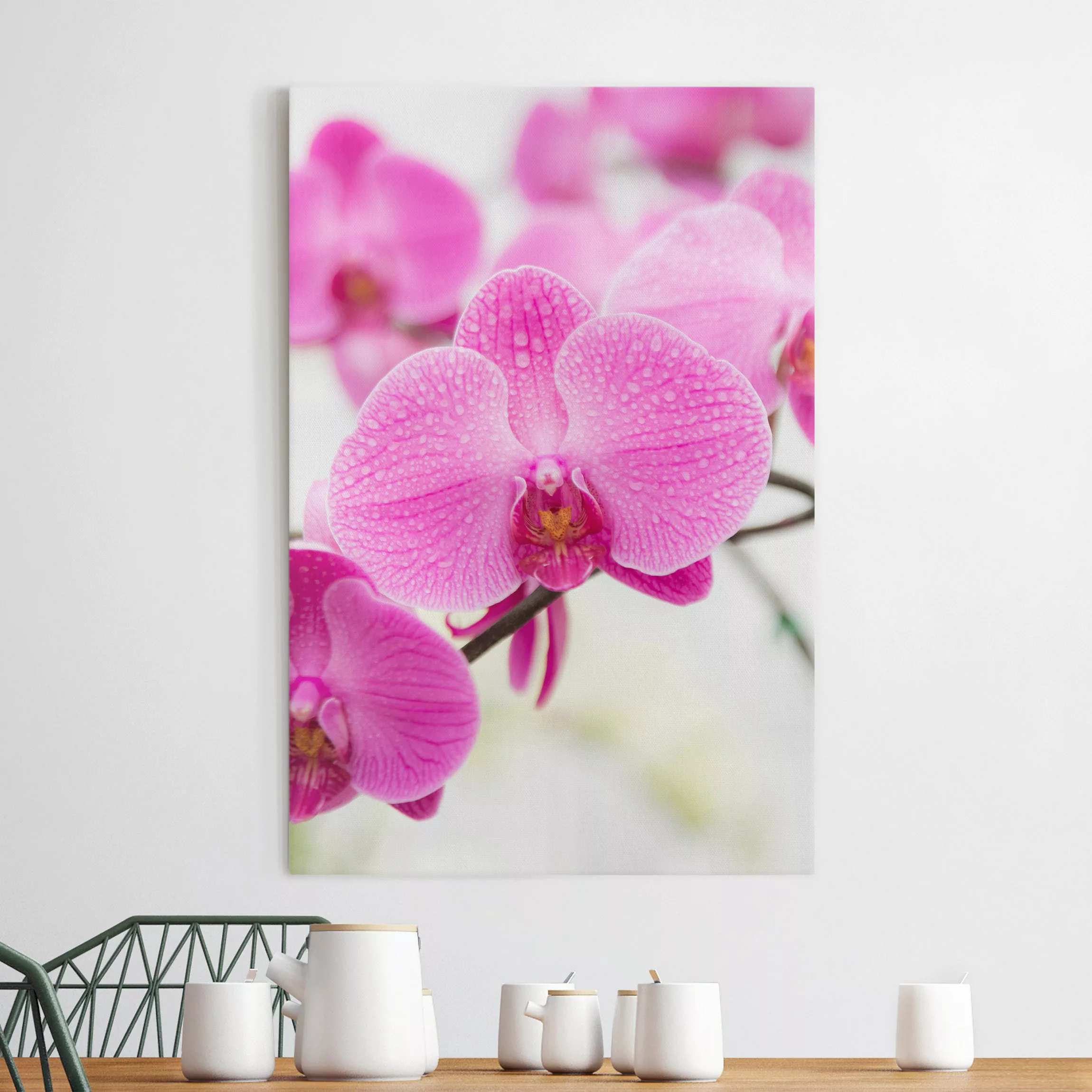 Leinwandbild Blumen - Hochformat Nahaufnahme Orchidee günstig online kaufen