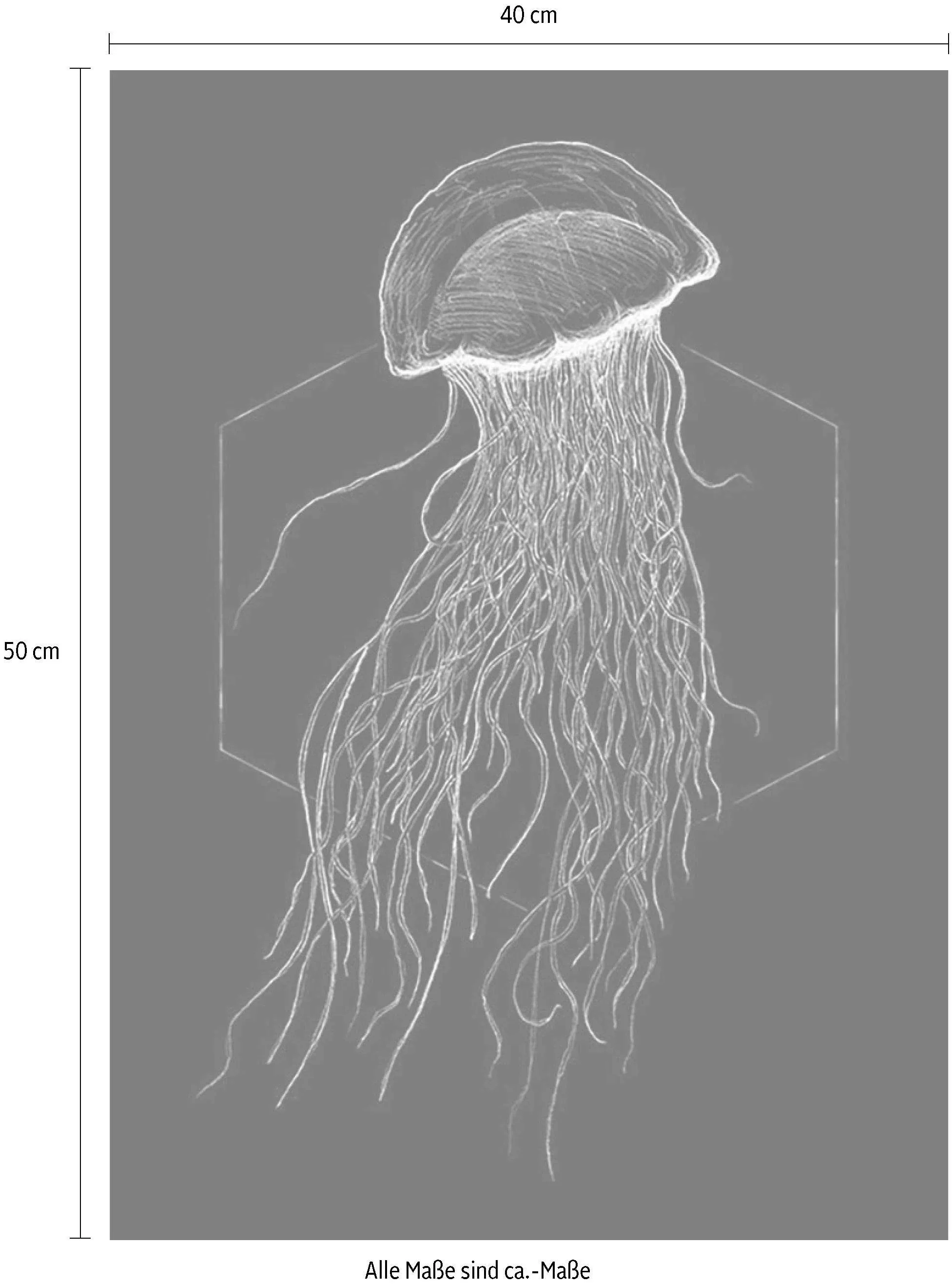 Komar Poster »Jellyfish Black«, Tiere, (1 St.) günstig online kaufen