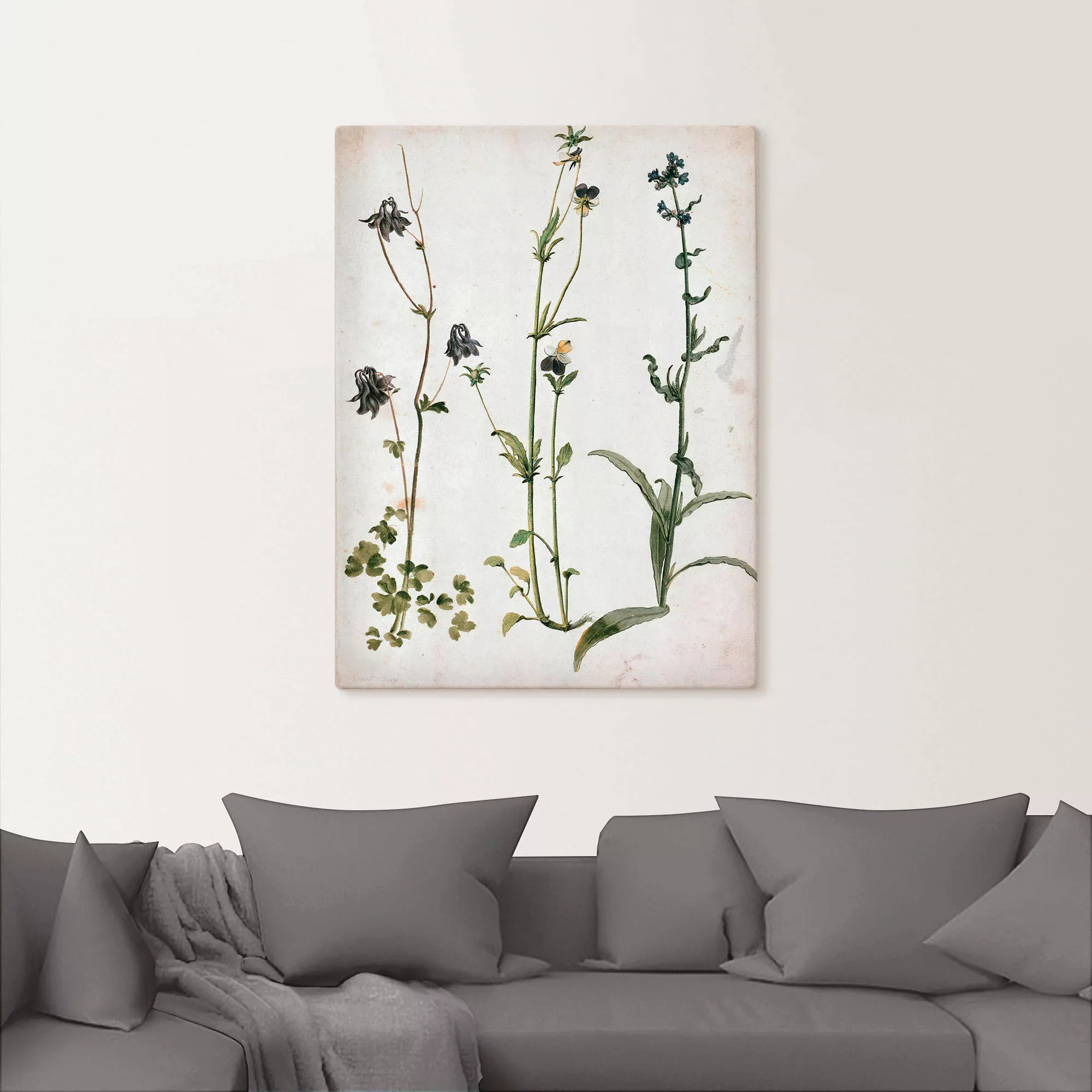 Artland Wandbild »Akelei, Stiefmütterchen und Ochsenzunge«, Blumenbilder, ( günstig online kaufen