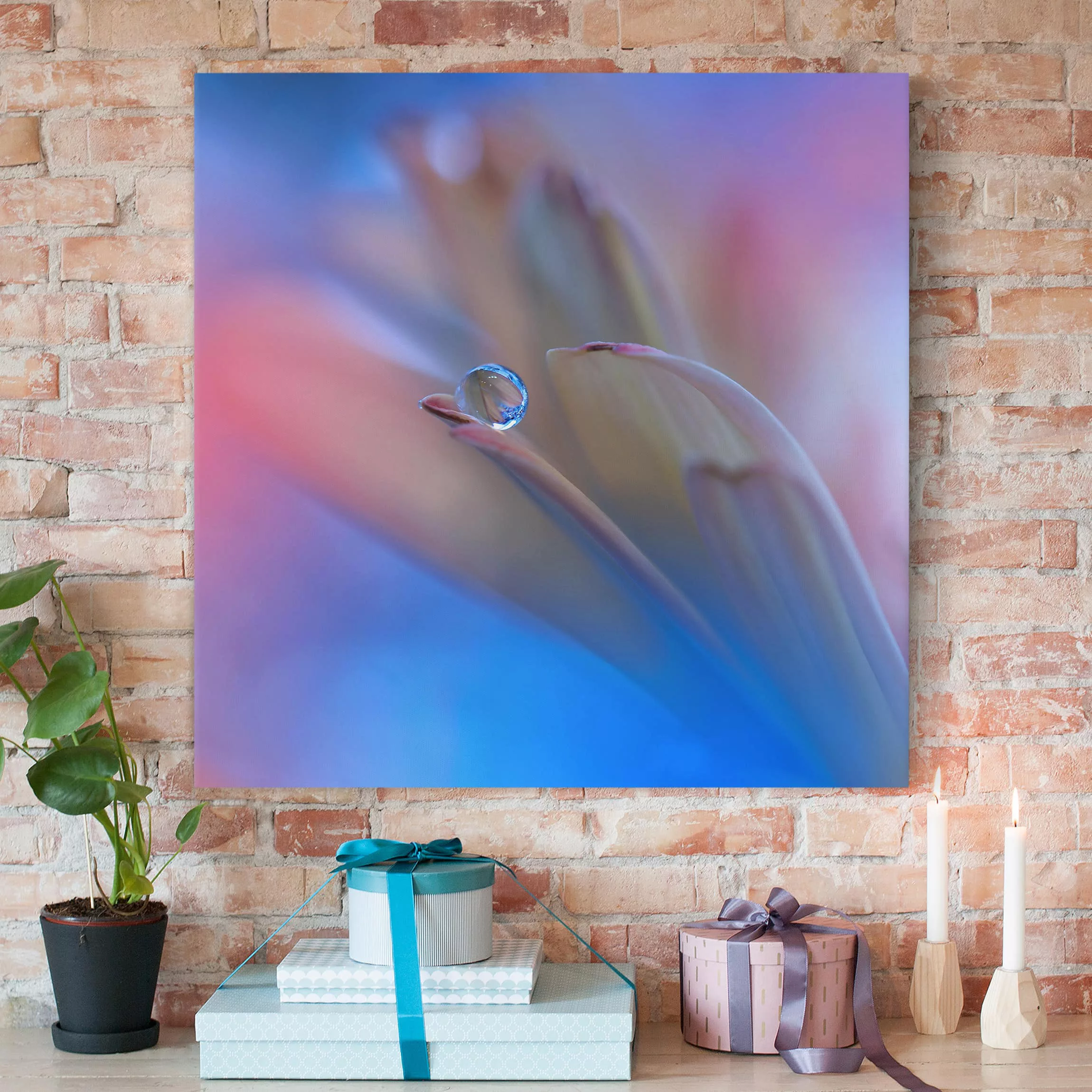 Leinwandbild Blumen - Quadrat Touch Me Softly günstig online kaufen