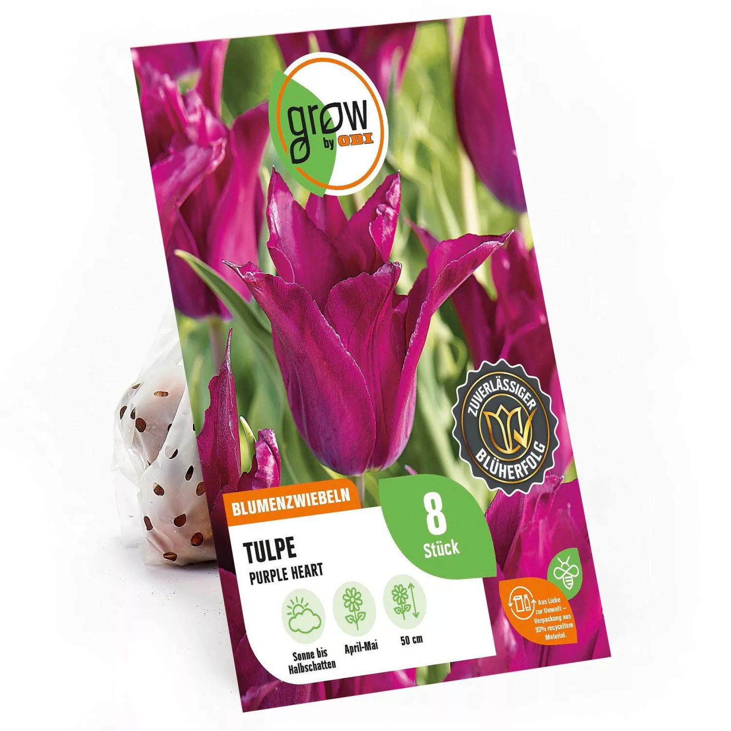 GROW by OBI Tulpe Purple Heart Violett 8 Stück Tulipa günstig online kaufen