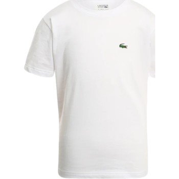 Lacoste  T-Shirt - günstig online kaufen