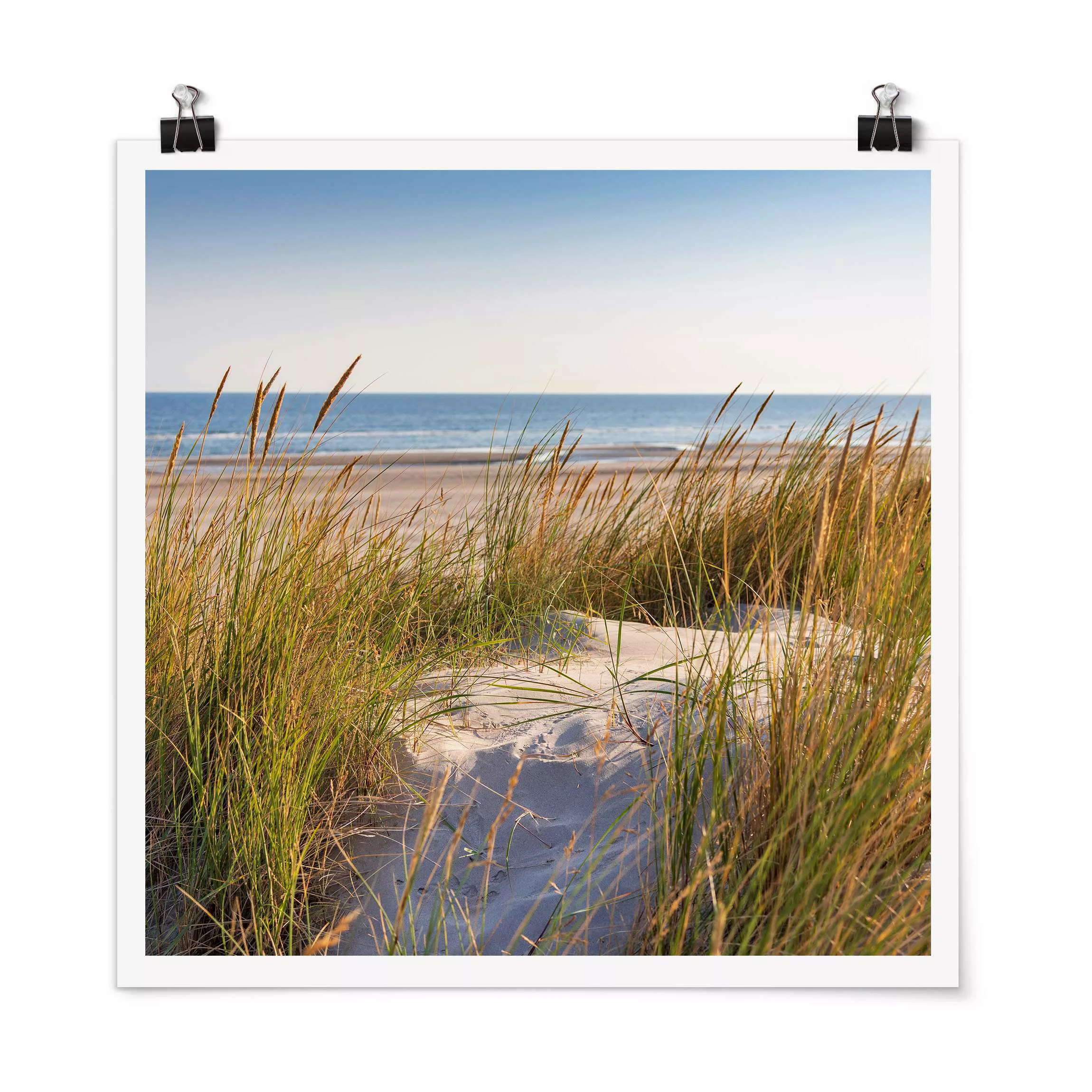 Poster Stranddüne am Meer günstig online kaufen