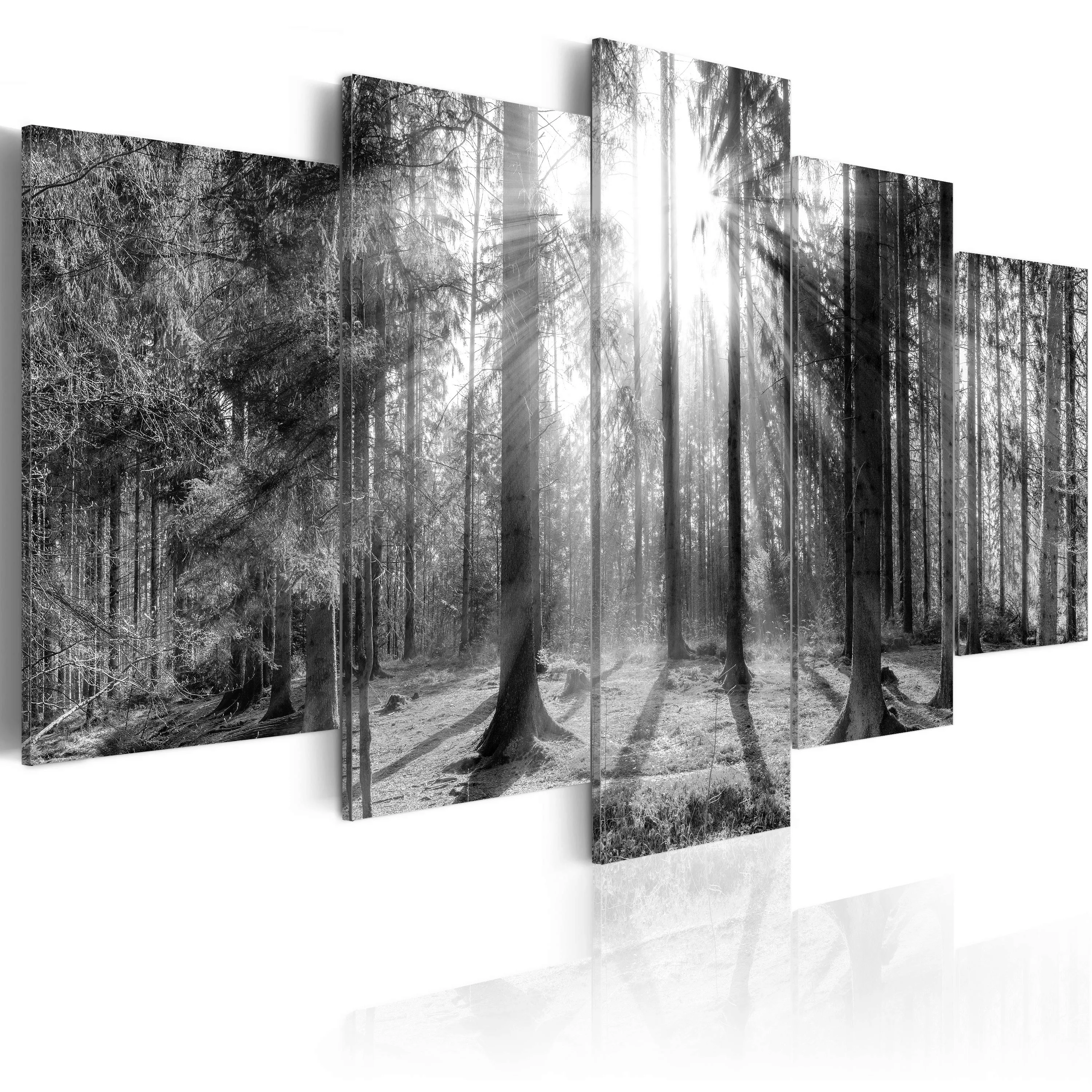 Wandbild - Forest Of Memories günstig online kaufen