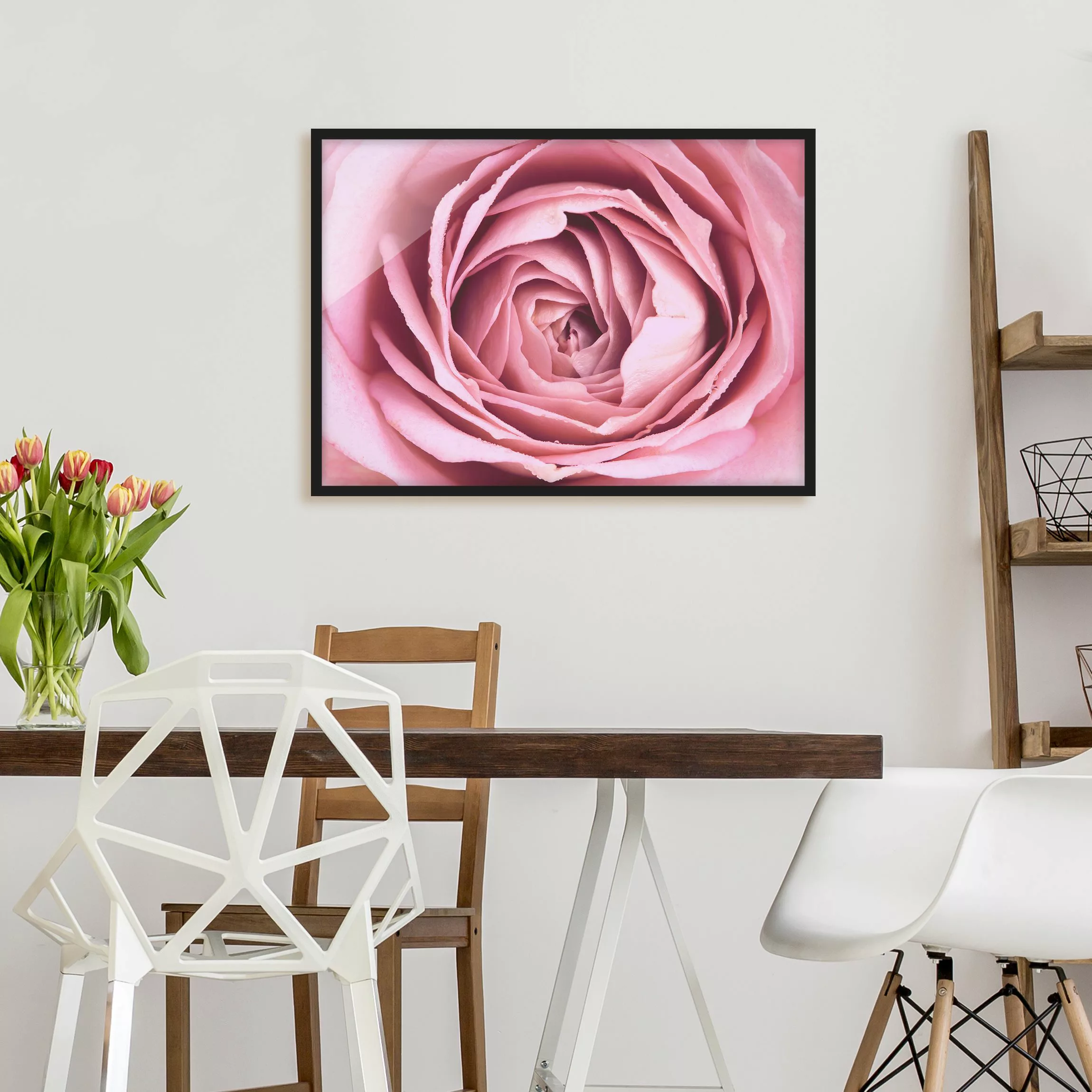 Bild mit Rahmen Blumen - Querformat Rosa Rosenblüte günstig online kaufen