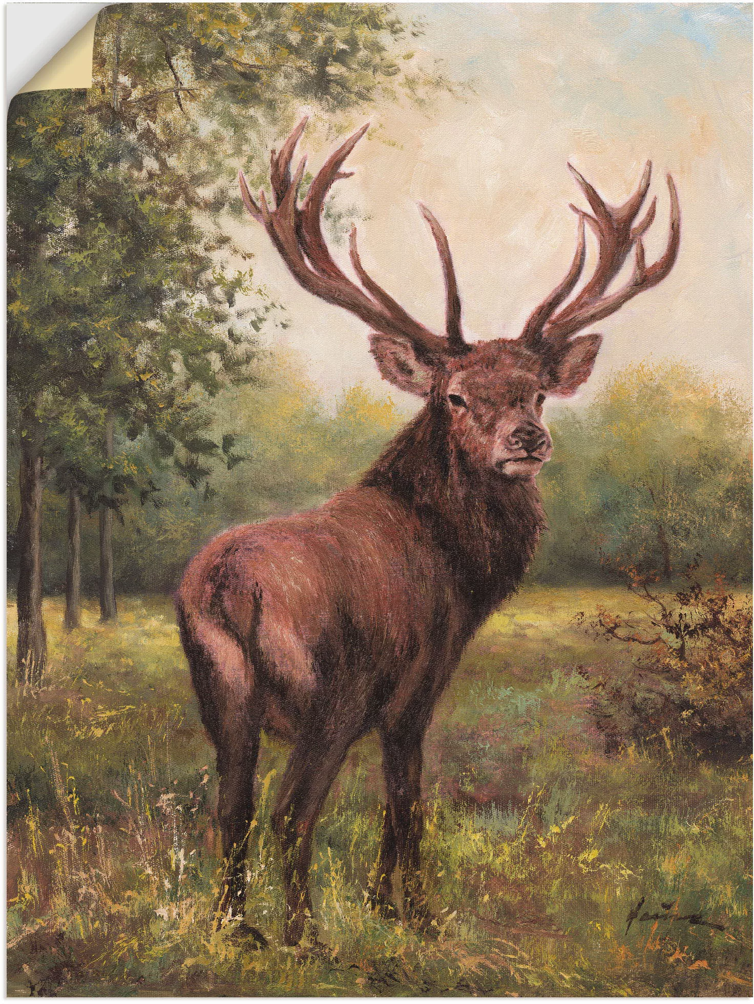 Artland Wandbild "Hirsch", Wildtiere, (1 St.) günstig online kaufen