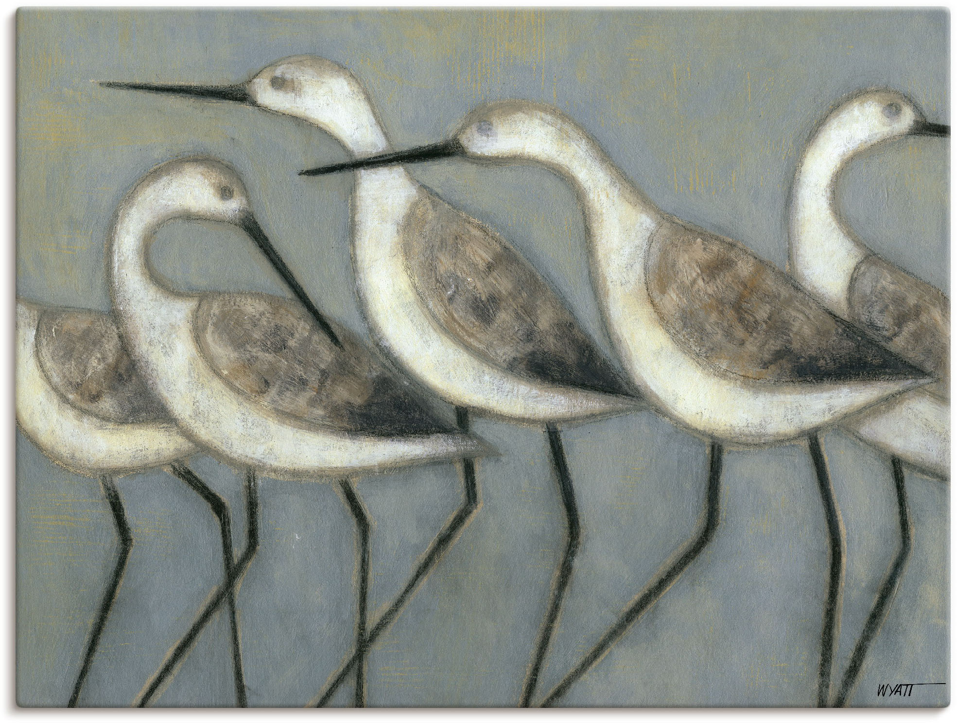 Artland Wandbild »Küstenvögel I«, Vögel, (1 St.), als Alubild, Outdoorbild, günstig online kaufen
