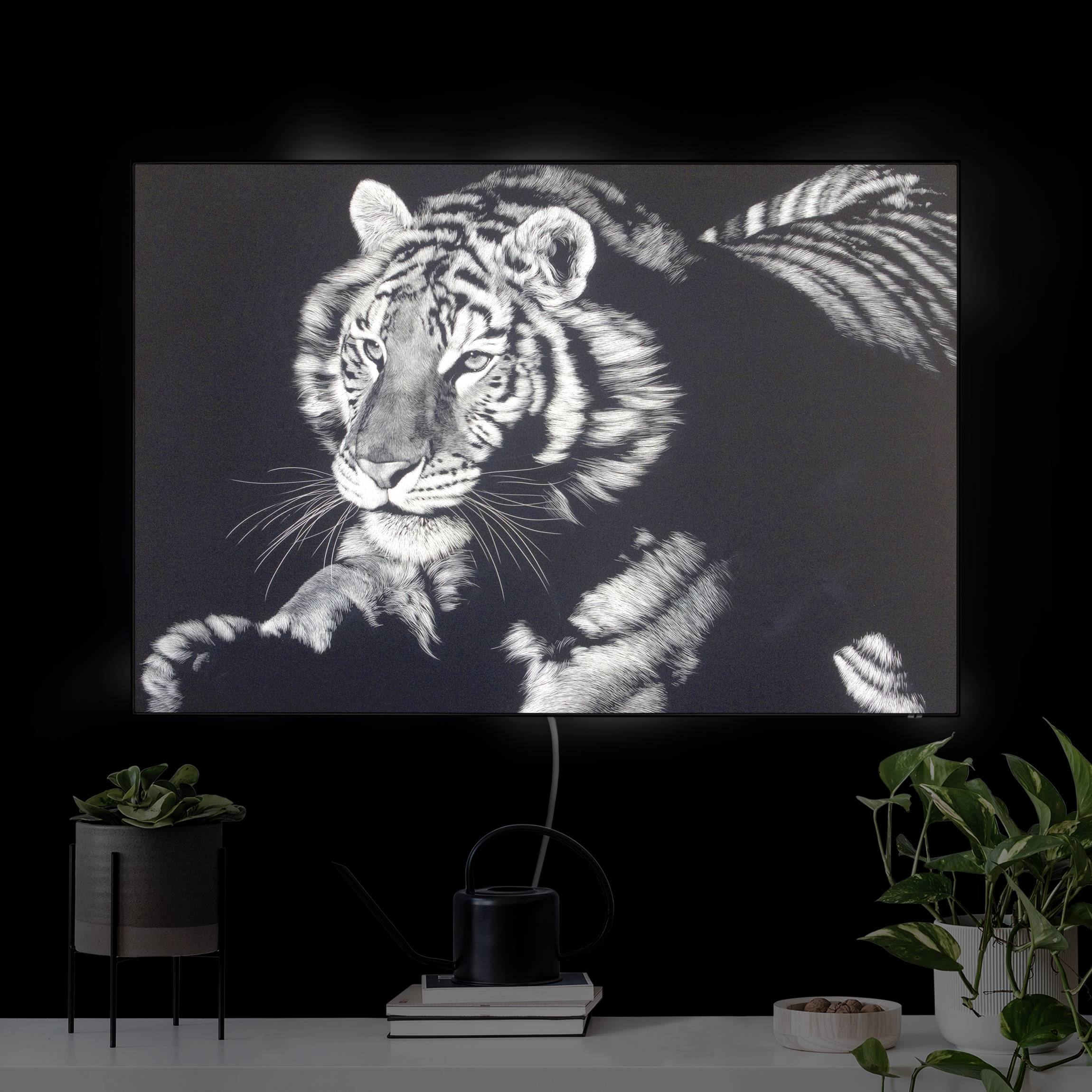 LED-Wechselbild Tiger im Sonnenlicht vor Schwarz günstig online kaufen