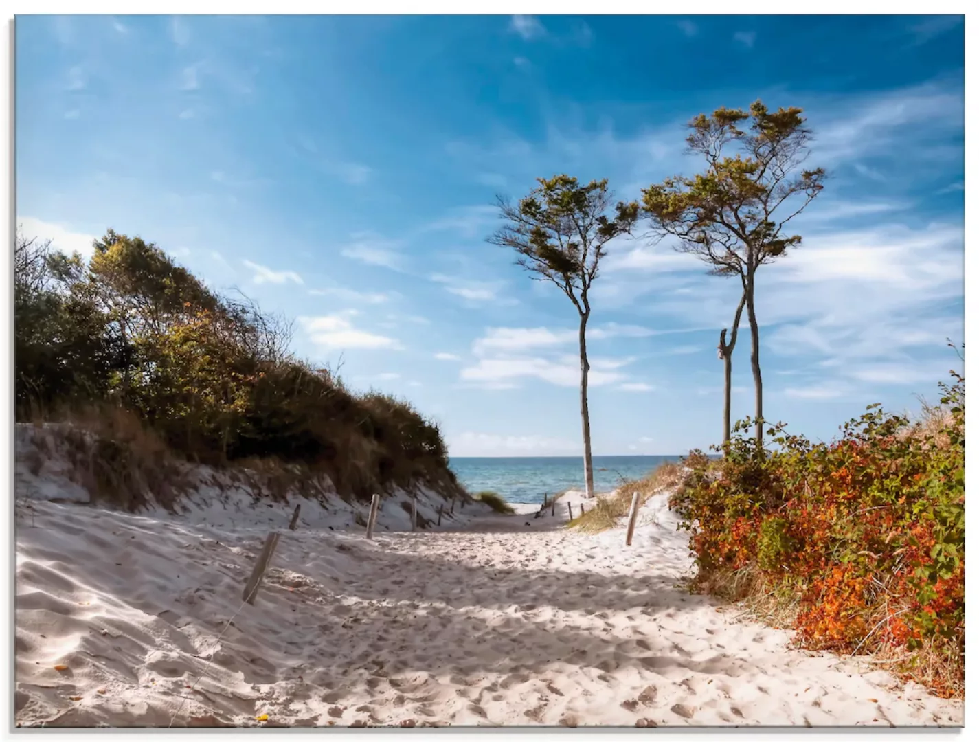 Artland Glasbild "Weststrand Darss", Strand, (1 St.), in verschiedenen Größ günstig online kaufen