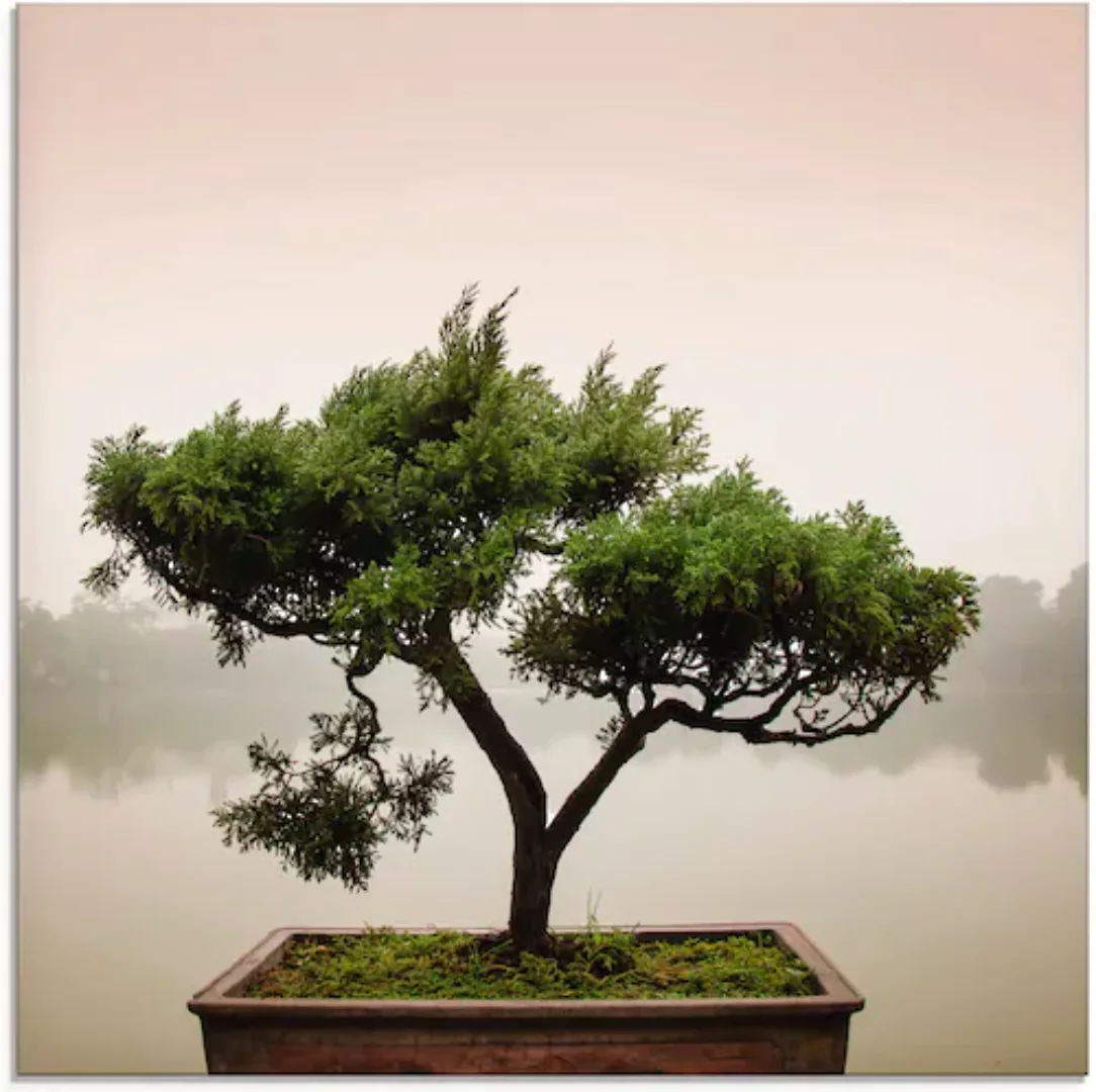 Artland Glasbild »Chinesischer Bonsaibaum«, Bäume, (1 St.), in verschiedene günstig online kaufen
