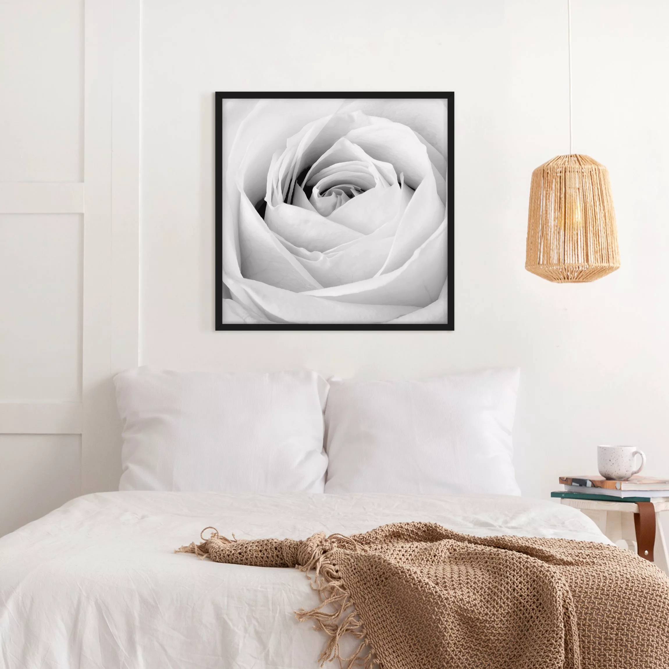 Bild mit Rahmen Blumen - Quadrat Close Up Rose günstig online kaufen