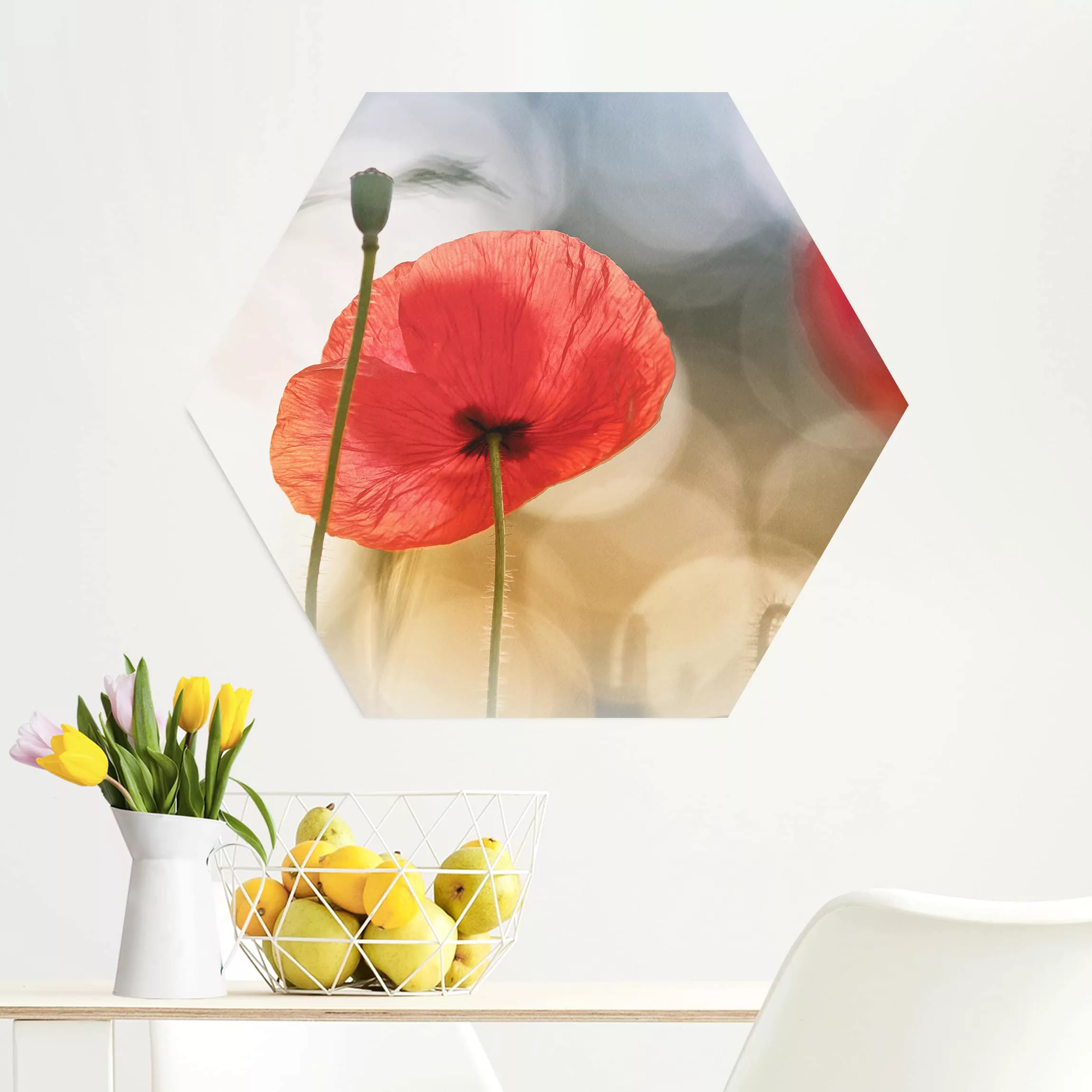 Hexagon-Alu-Dibond Bild Blumen Mohnblumen am Morgen günstig online kaufen