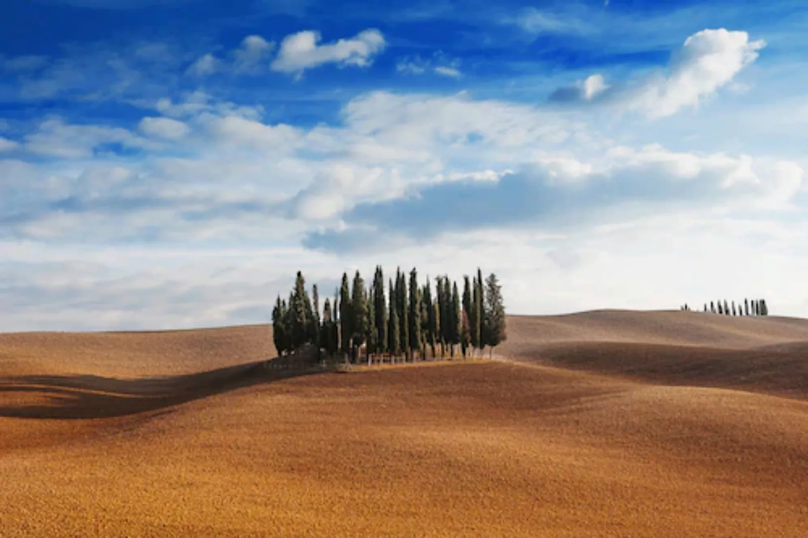 Papermoon Fototapete »Bäume in landschaft« günstig online kaufen