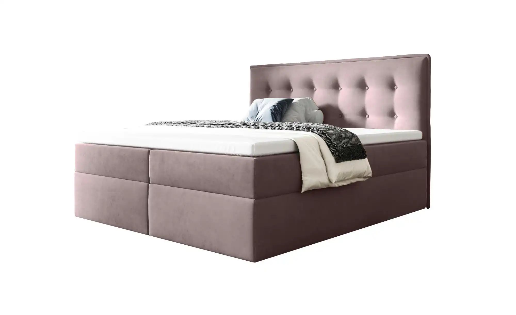 Boxbett mit Bettkasten Focus ¦ rosa/pink ¦ Maße (cm): B: 160 H: 110 Betten günstig online kaufen