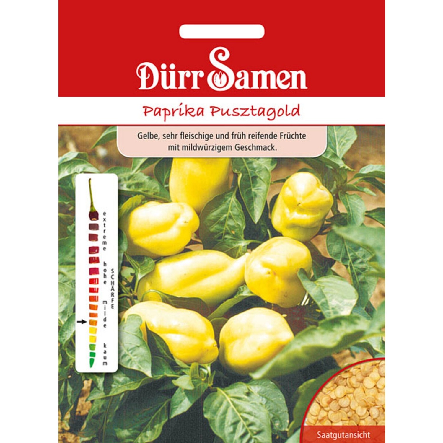 Dürr Samen Paprika Pusztagold Saatgut günstig online kaufen