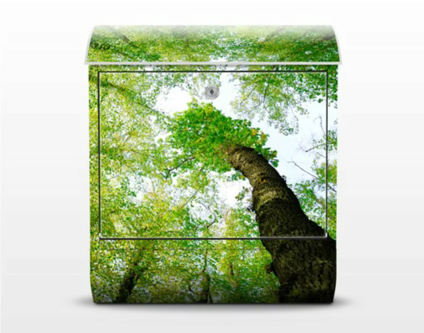 Briefkasten Natur & Landschaft Bäume des Lebens günstig online kaufen