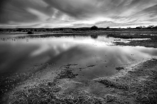 Papermoon Fototapete »Landschaft Schwarz & Weiß« günstig online kaufen