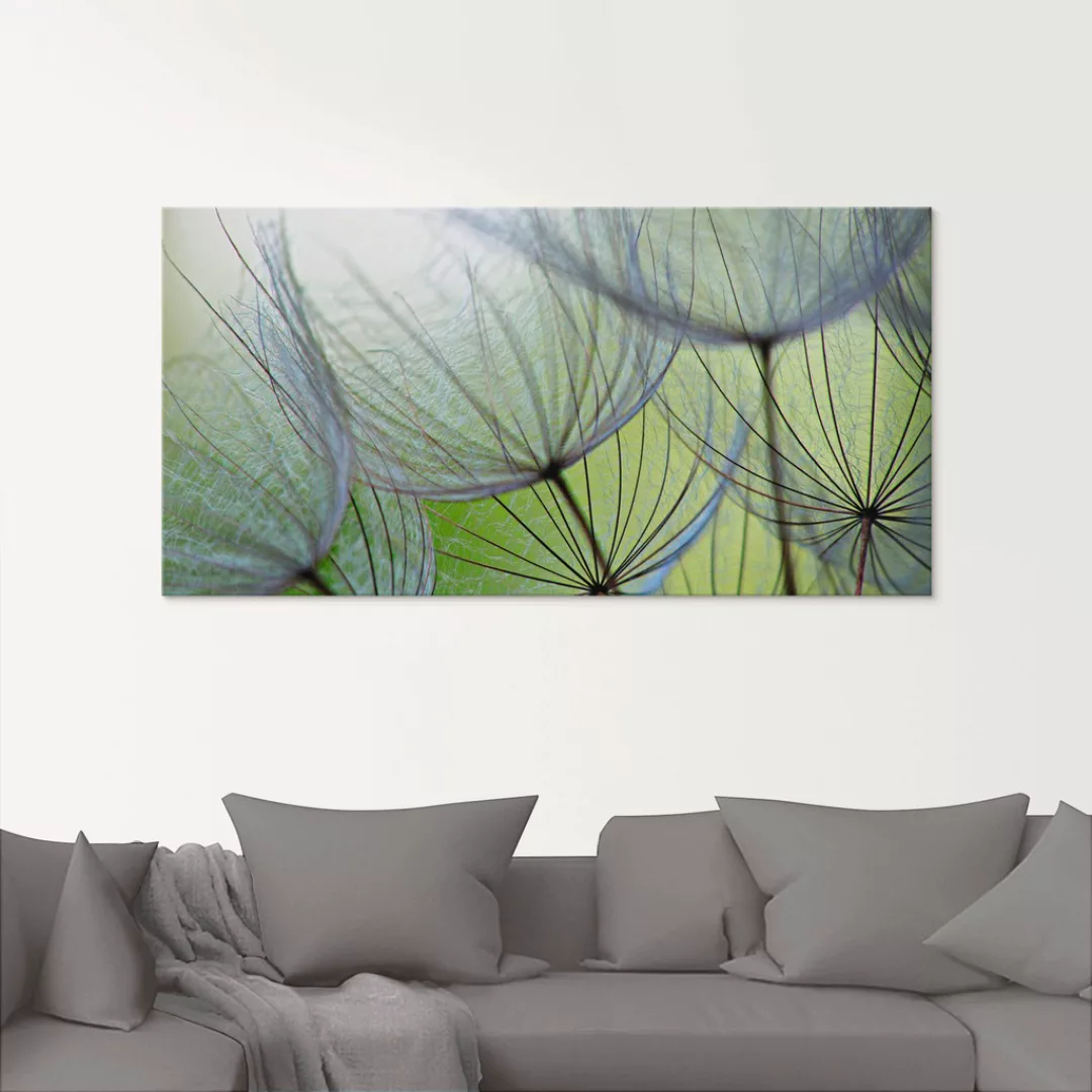 Artland Glasbild "Pusteblumen-Samen II", Blumen, (1 St.), in verschiedenen günstig online kaufen