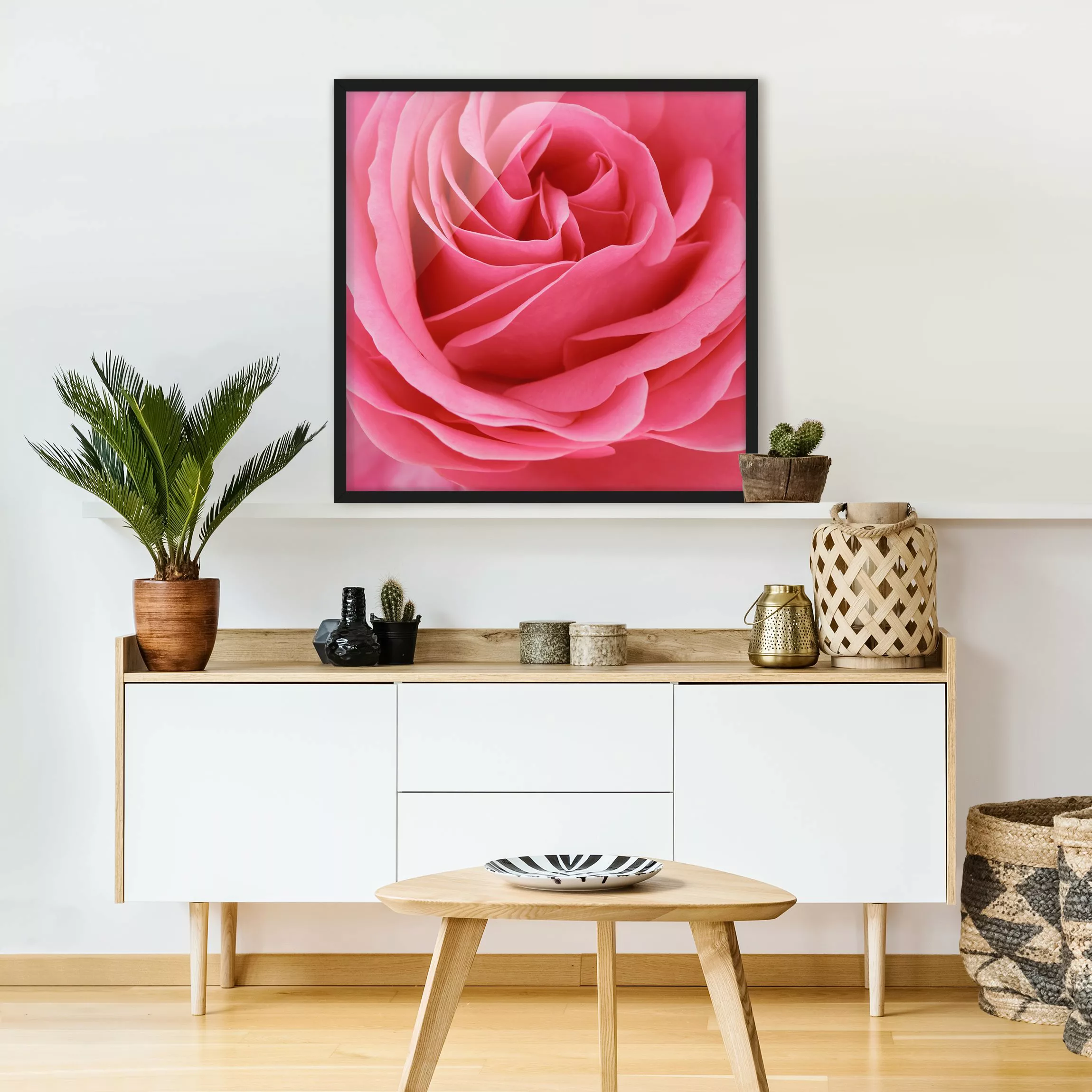 Bild mit Rahmen Blumen - Quadrat Lustful Pink Rose günstig online kaufen