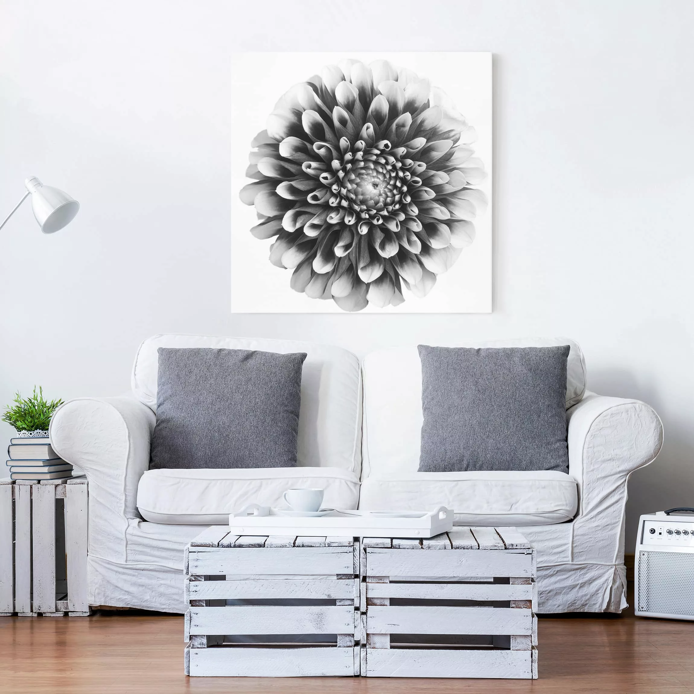 Leinwandbild Blumen - Quadrat Aster II günstig online kaufen
