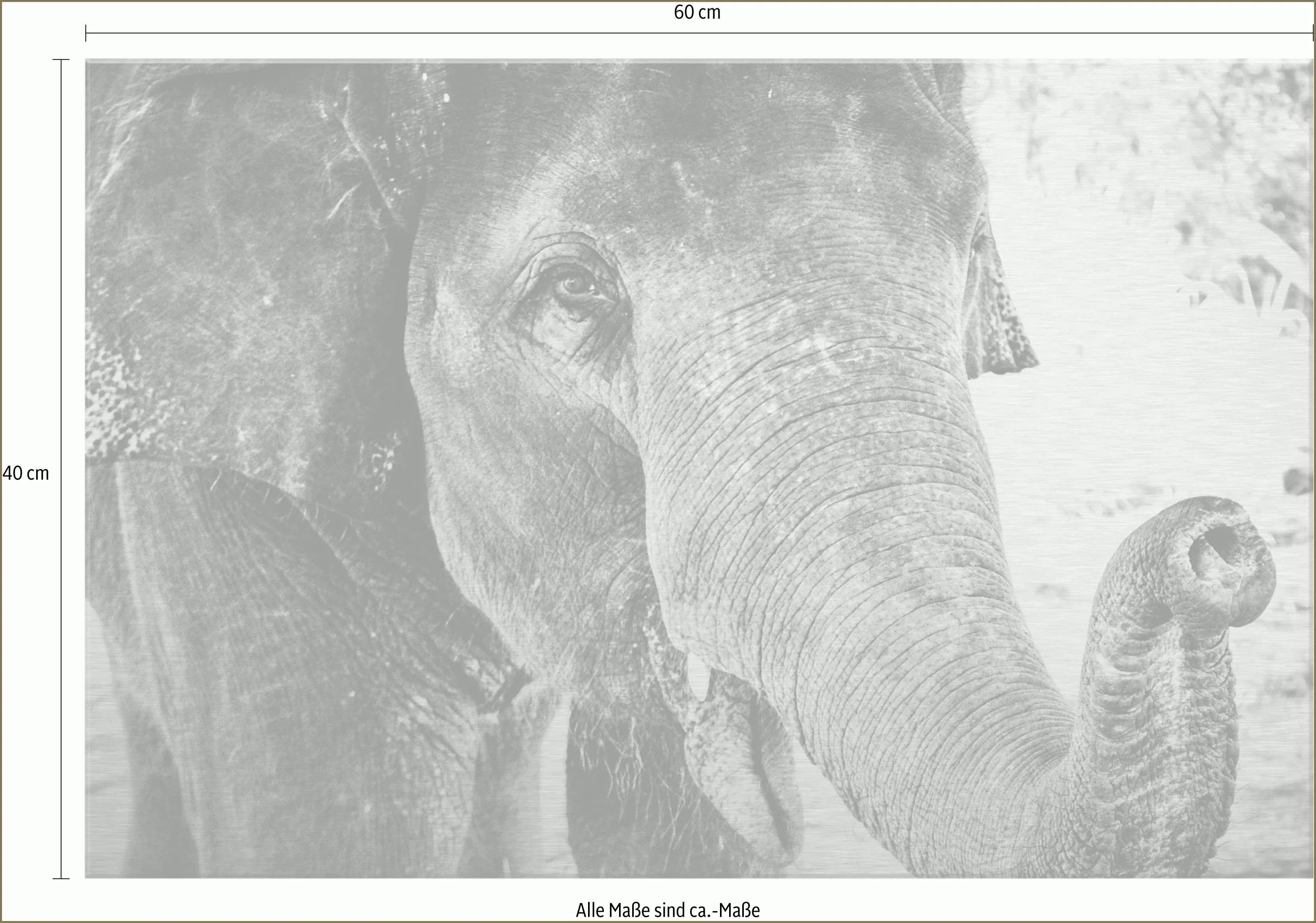 Wall-Art Metallbild »Indian Elephant«, 60/40 cm günstig online kaufen