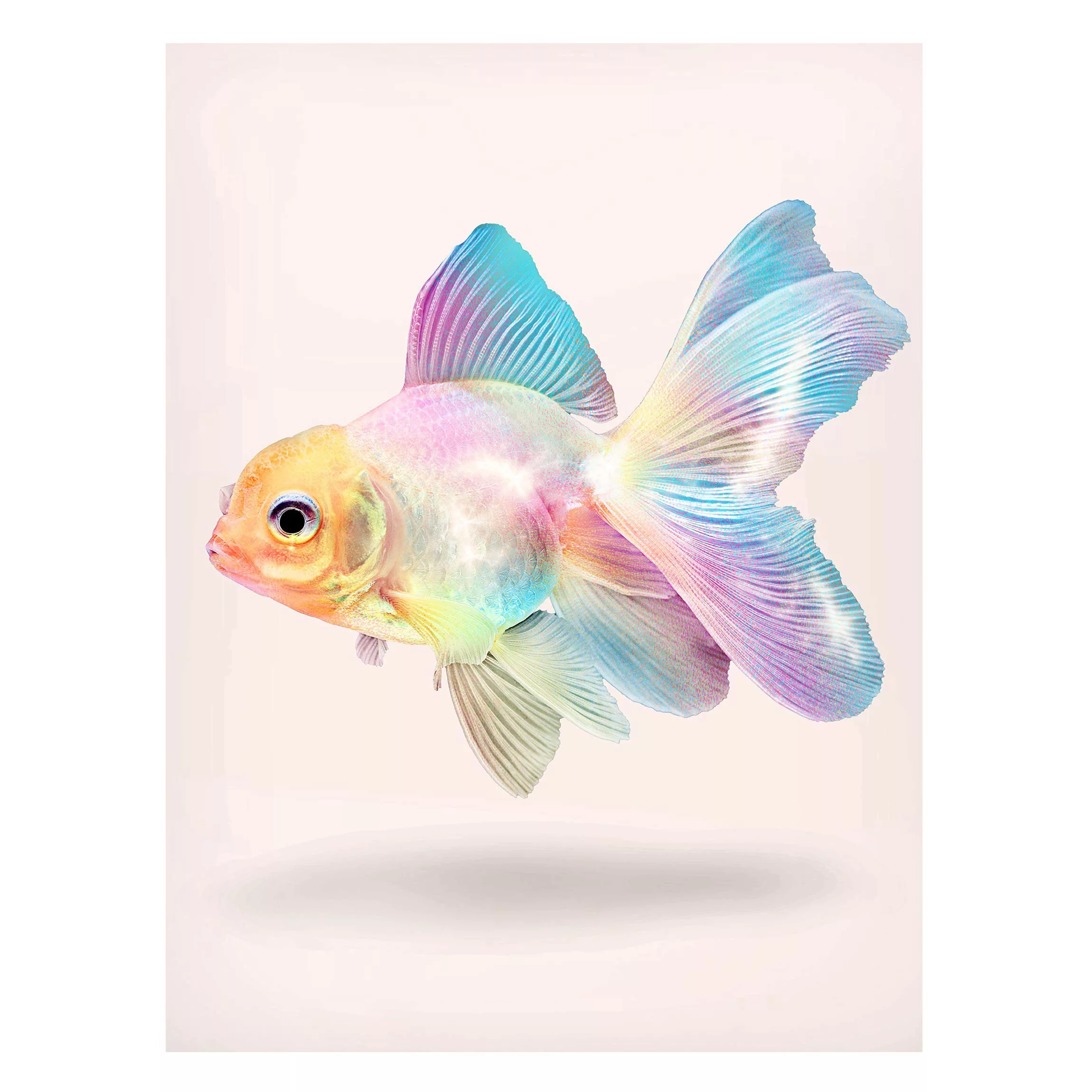 Magnettafel Tiere - Hochformat 3:4 Fisch in Pastell günstig online kaufen