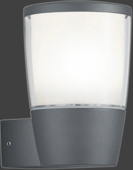 TRIO Leuchten LED Außen-Wandleuchte "SHANNON", 1 flammig-flammig günstig online kaufen