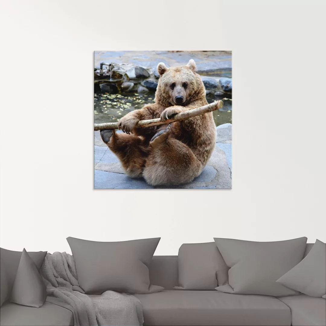 Artland Glasbild "Bär II", Wildtiere, (1 St.), in verschiedenen Größen günstig online kaufen
