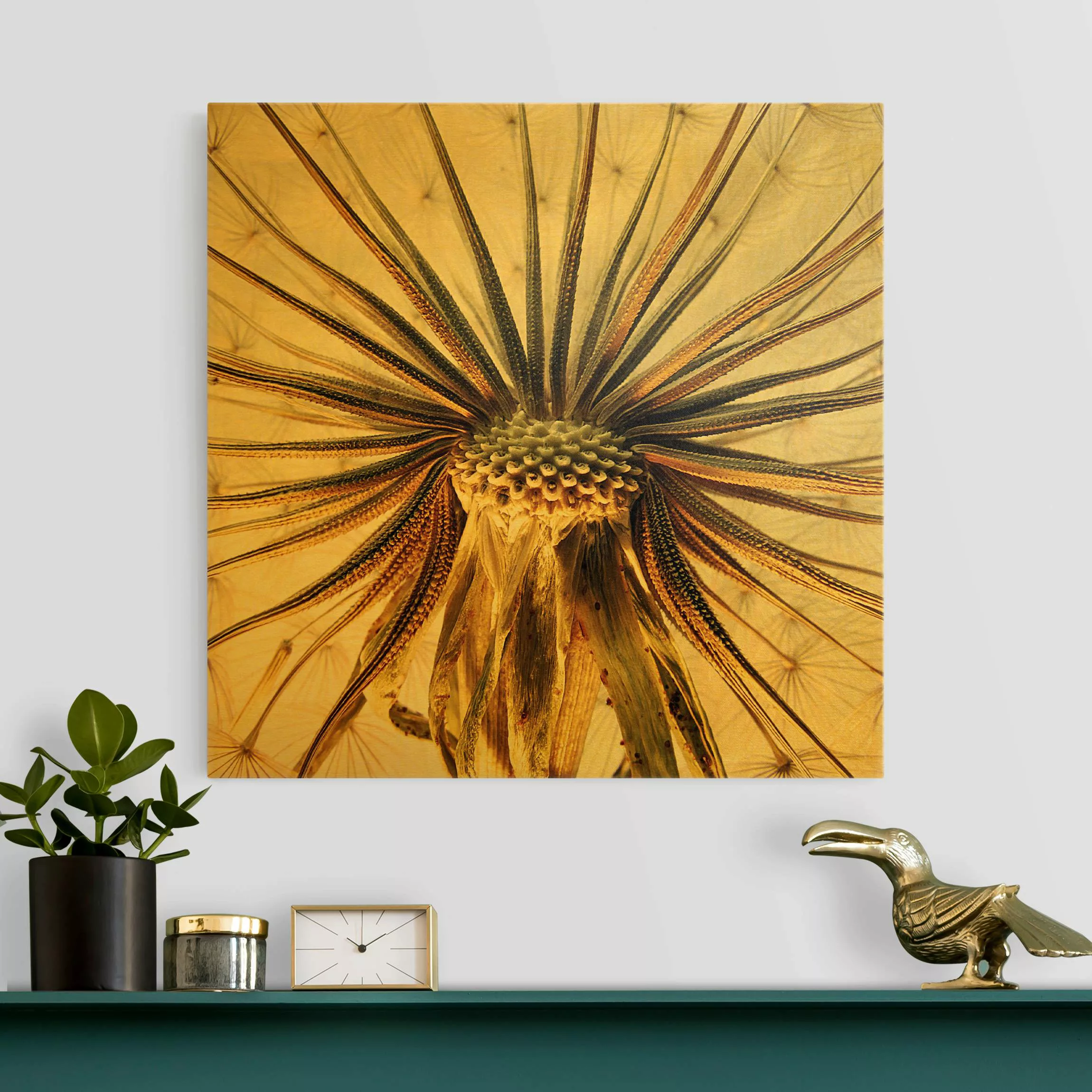 Leinwandbild Dandelion Close Up günstig online kaufen