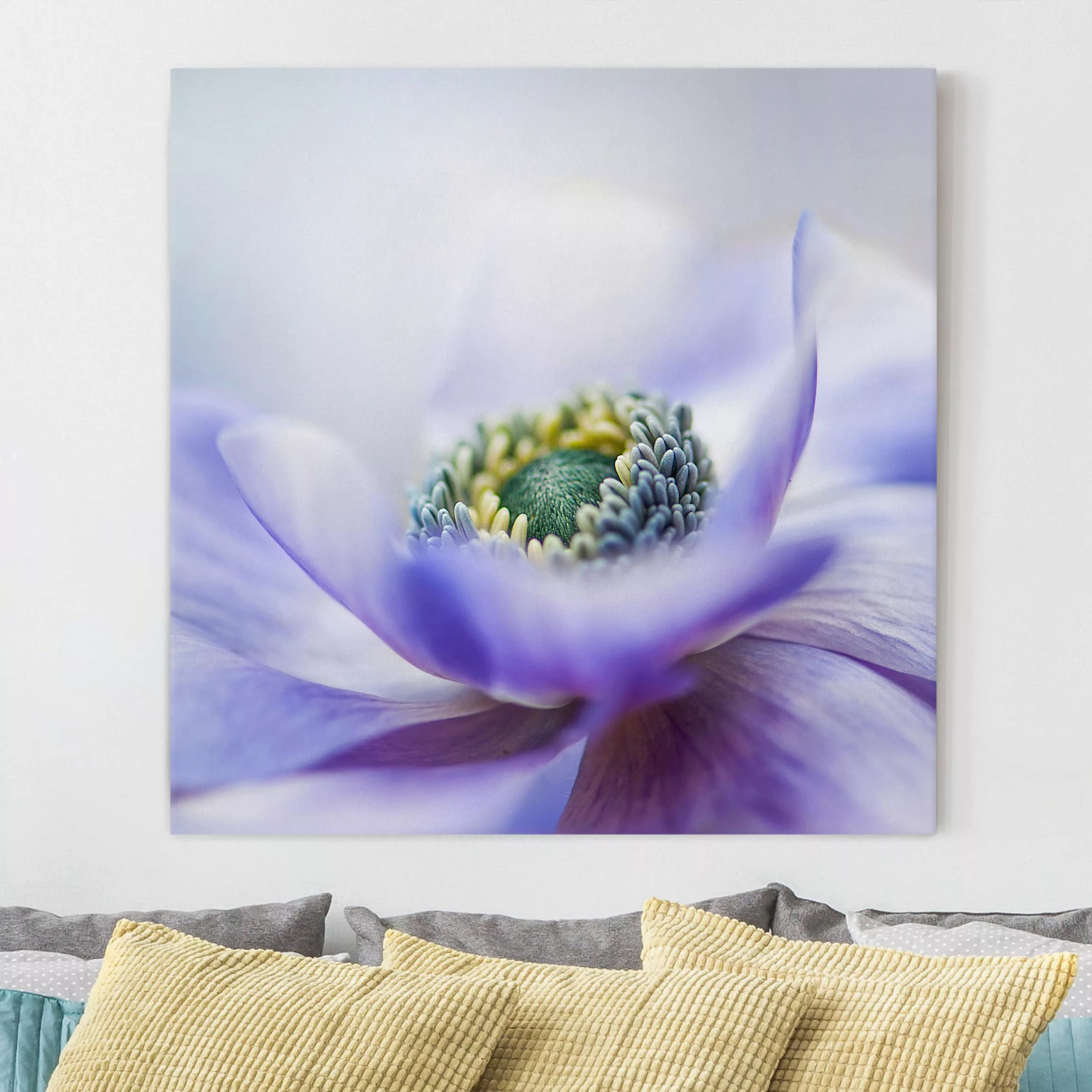 Leinwandbild Blumen - Quadrat Anemone De Caen günstig online kaufen