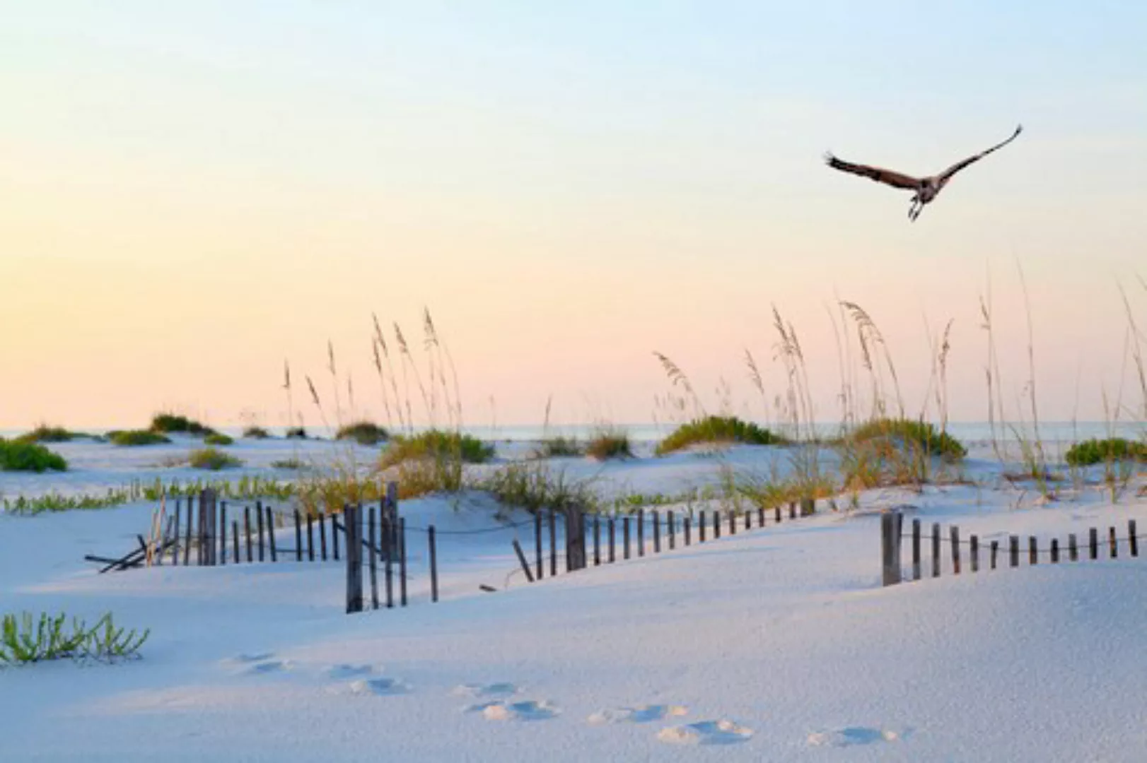 Papermoon Fototapete »Weißer Sand Florida Beach« günstig online kaufen